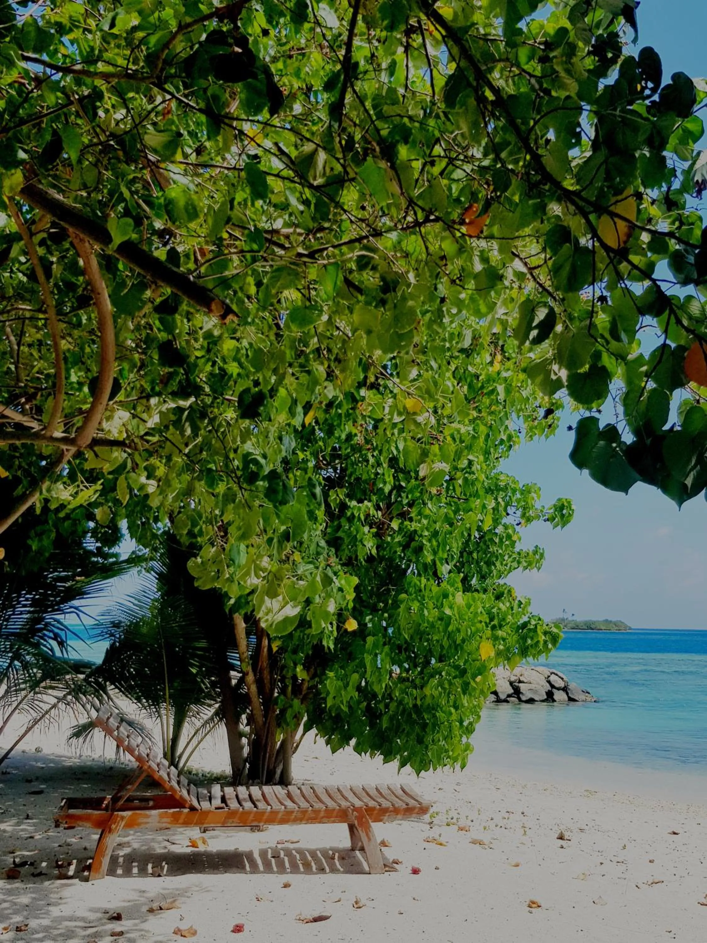 Beach in Summer Vibes Beach Front