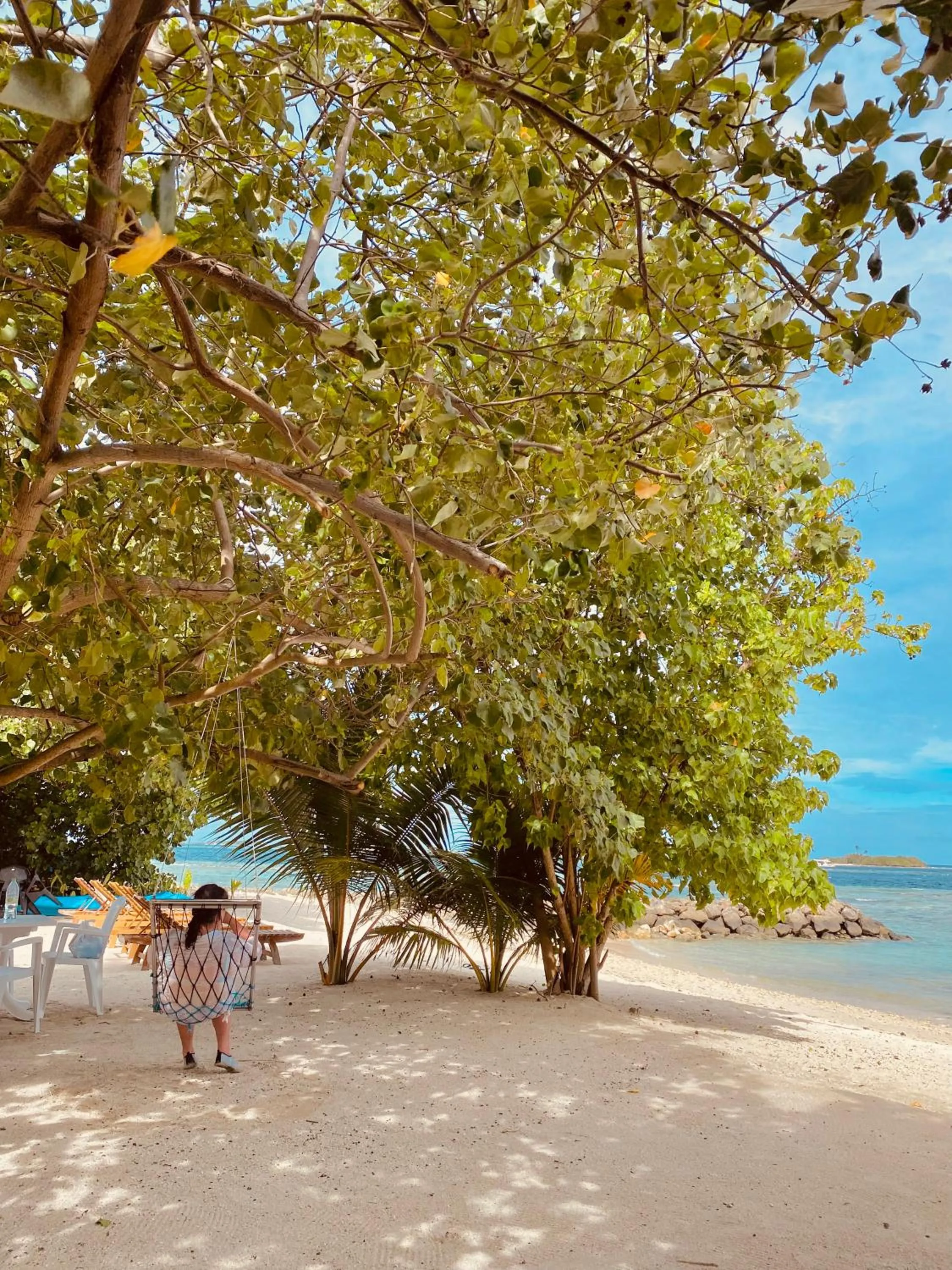 Beach in Summer Vibes Beach Front