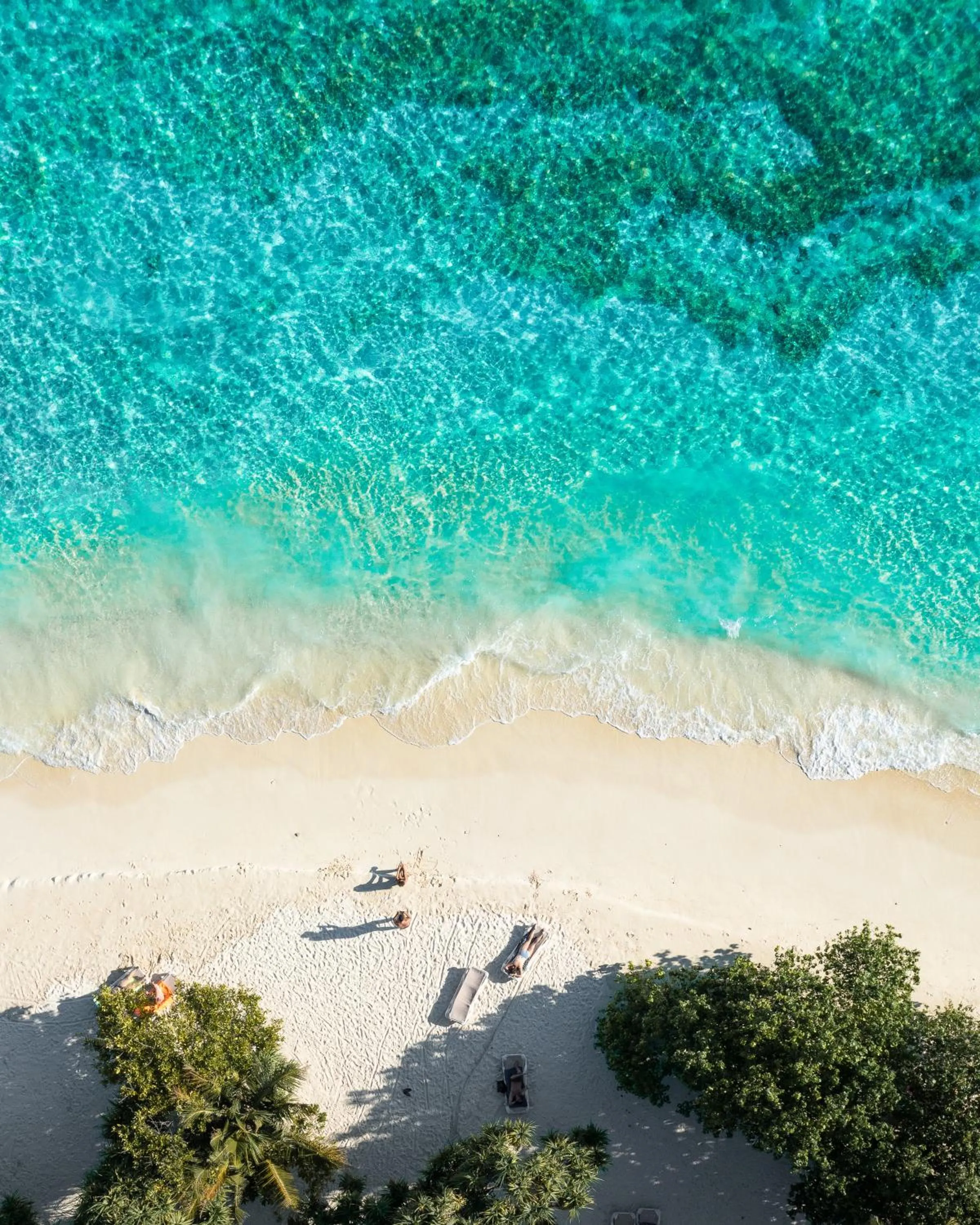 Beach in Summer Vibes Beach Front