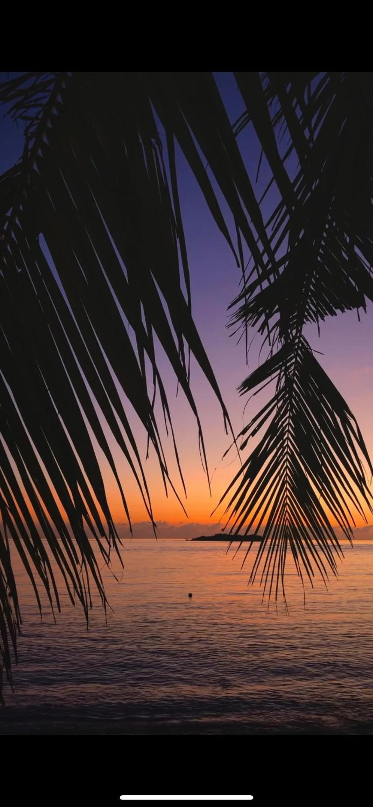 Sunset in Summer Vibes Beach Front