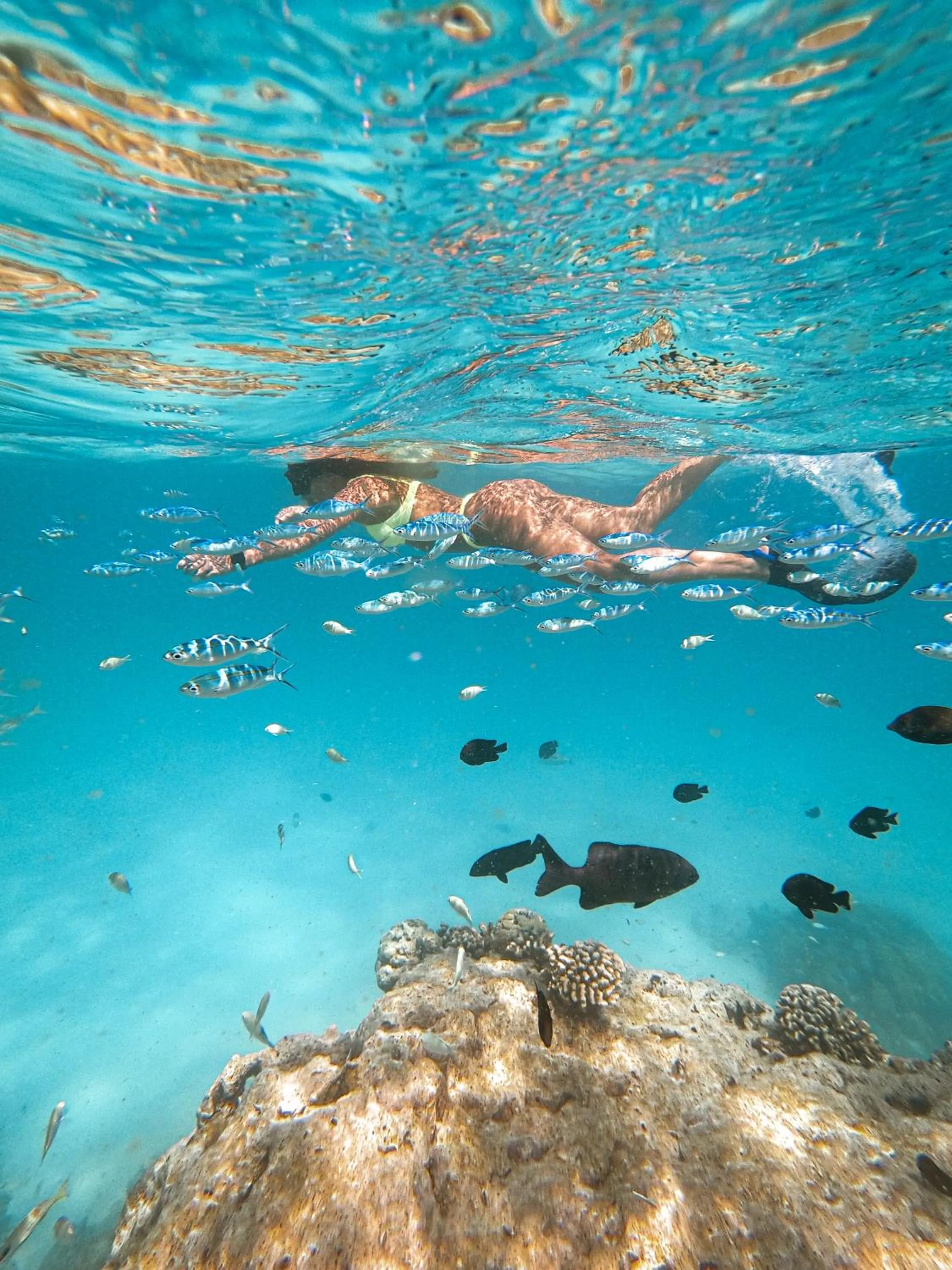 Snorkeling in Summer Vibes Beach Front