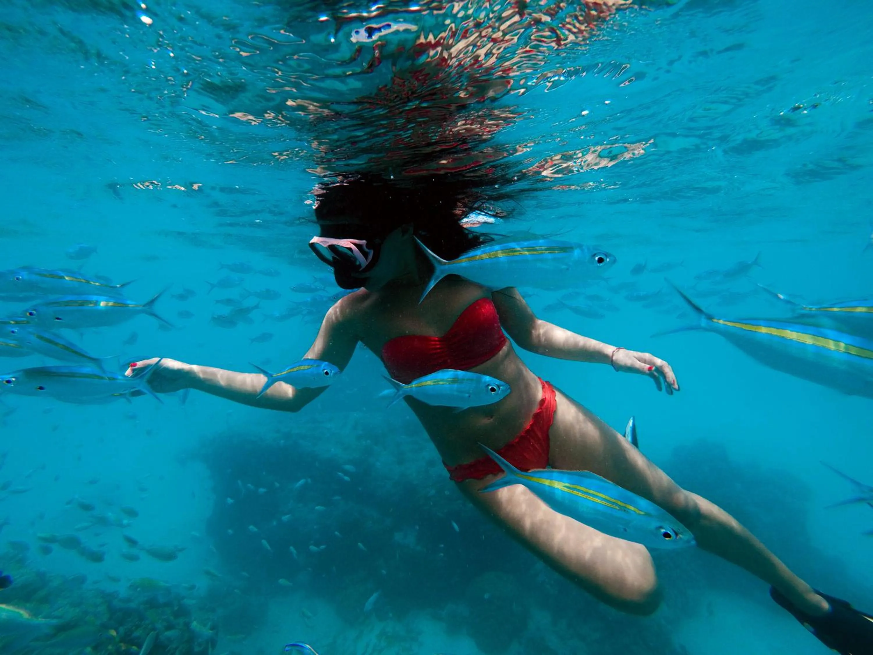 People in Summer Vibes Beach Front