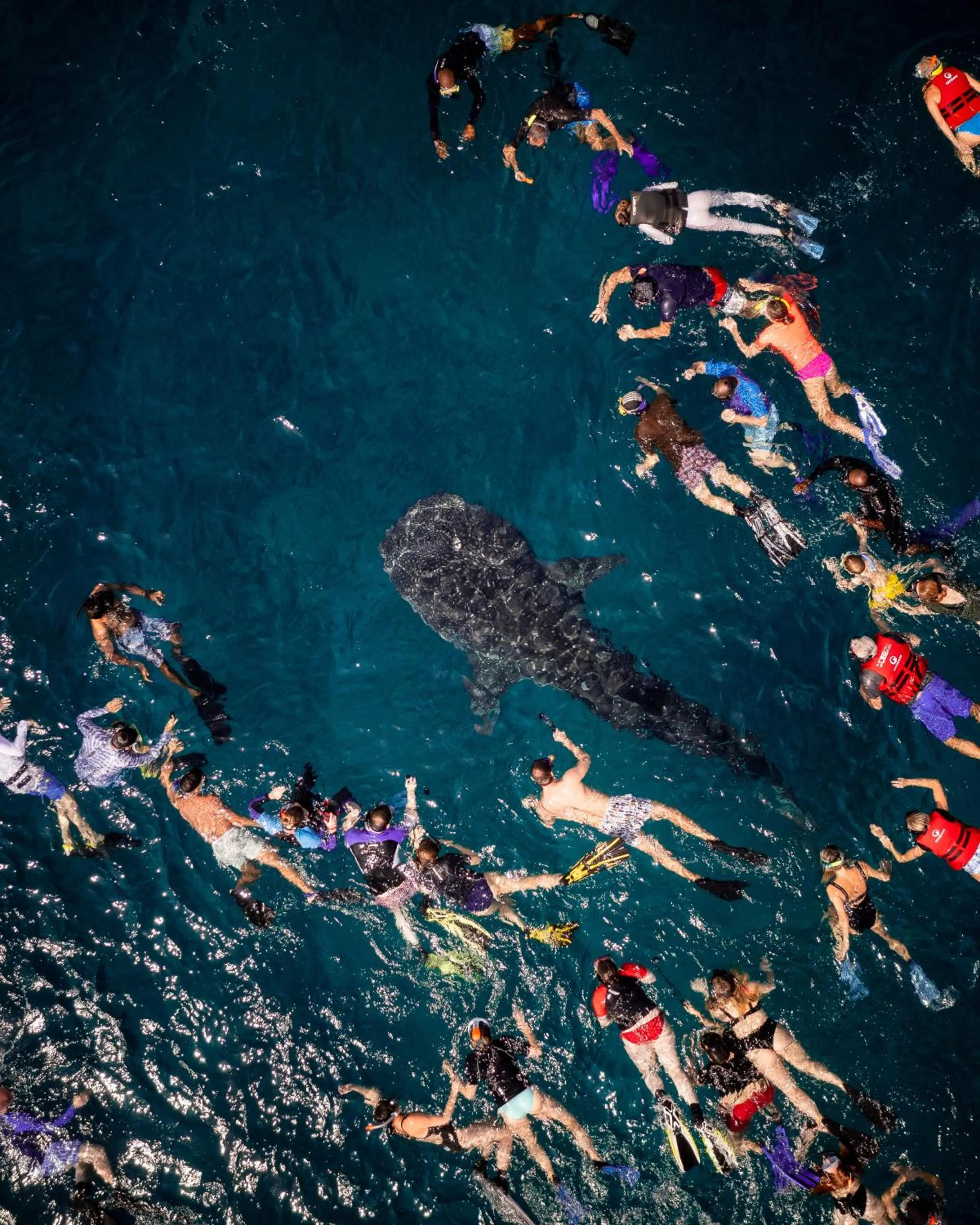 Snorkeling in Summer Vibes Beach Front