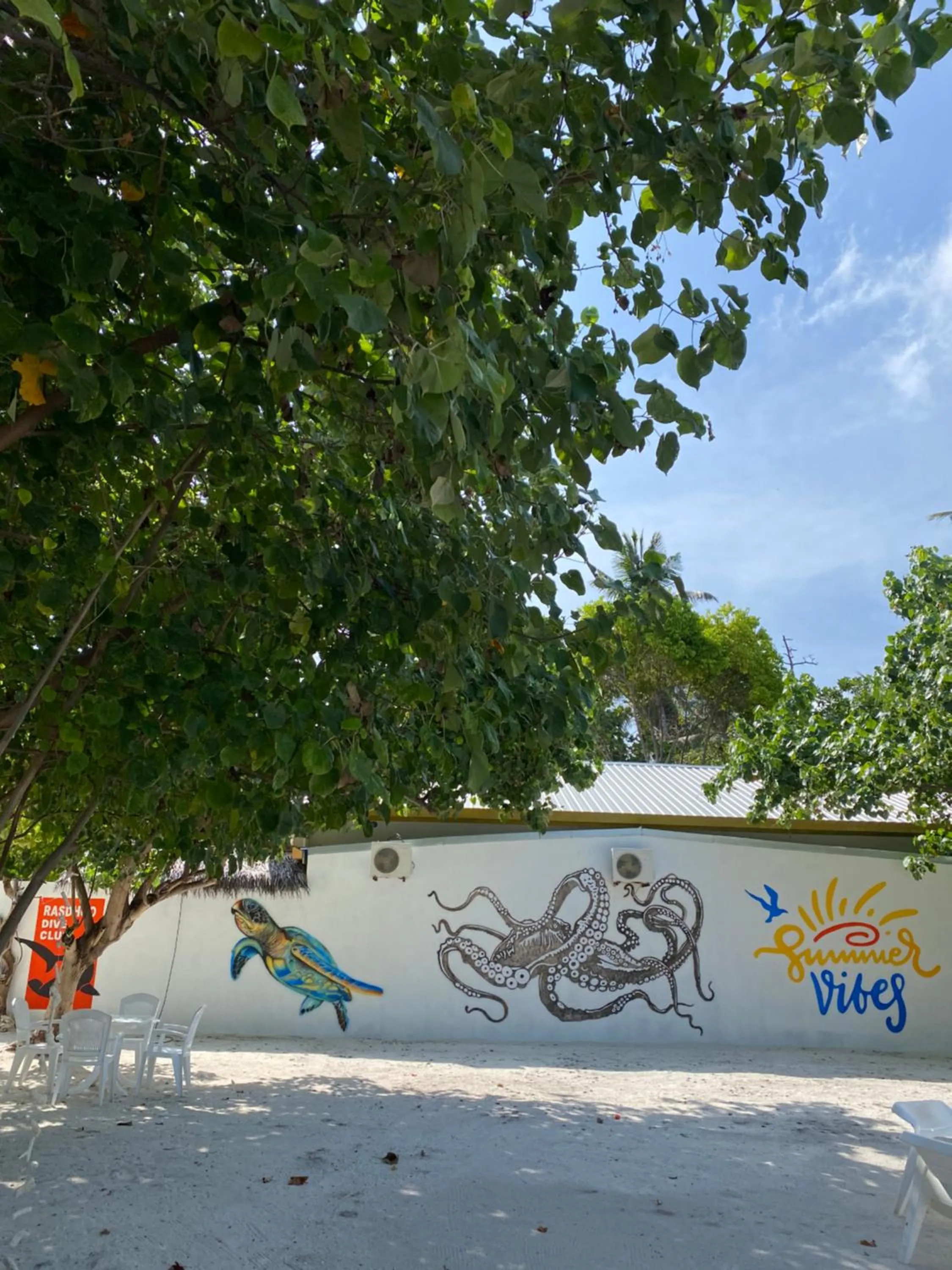 Day in Summer Vibes Beach Front