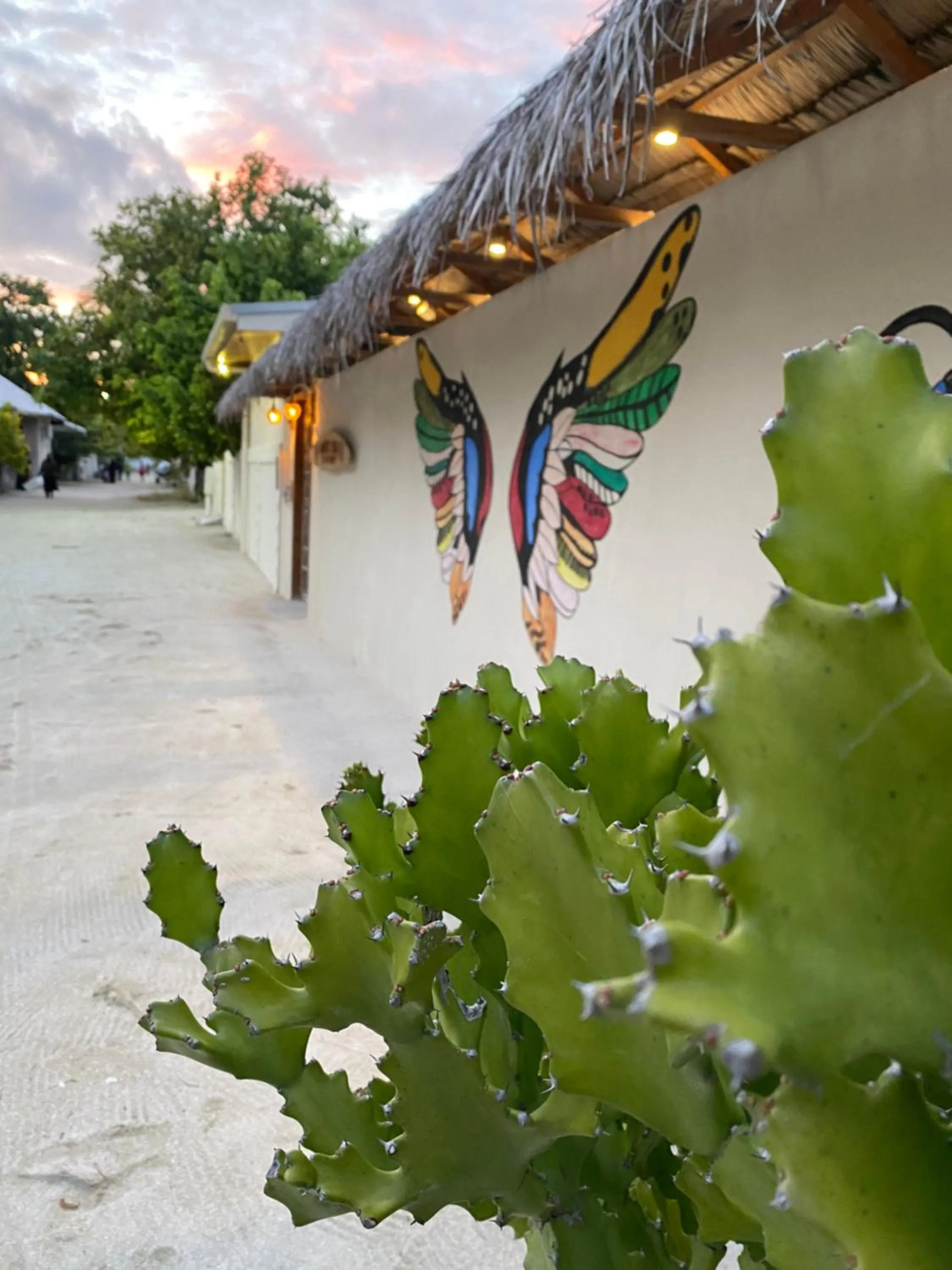 Property building in Summer Vibes Beach Front