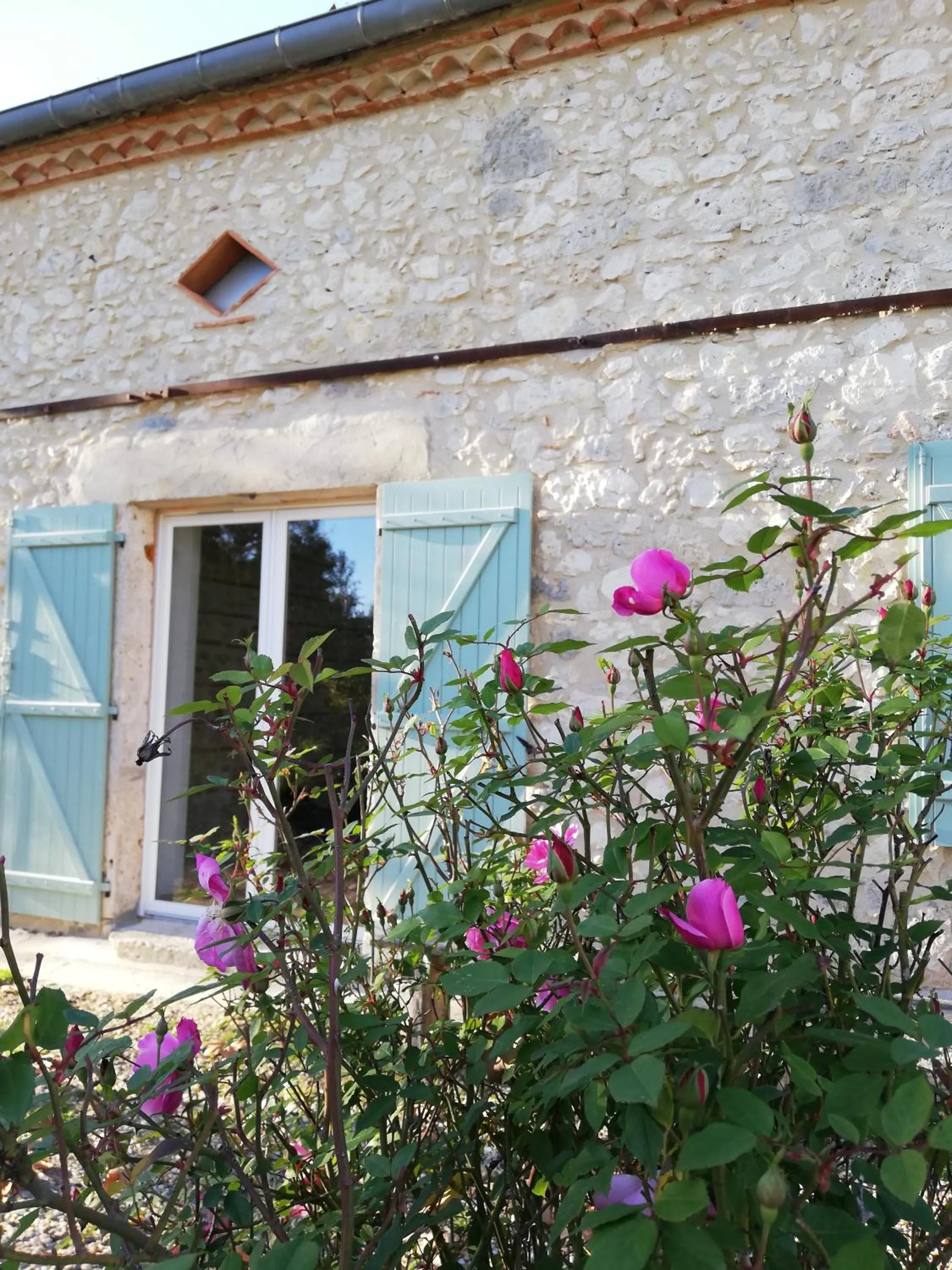 Patio in Chambre d'hôtes Le Cocon des Champs