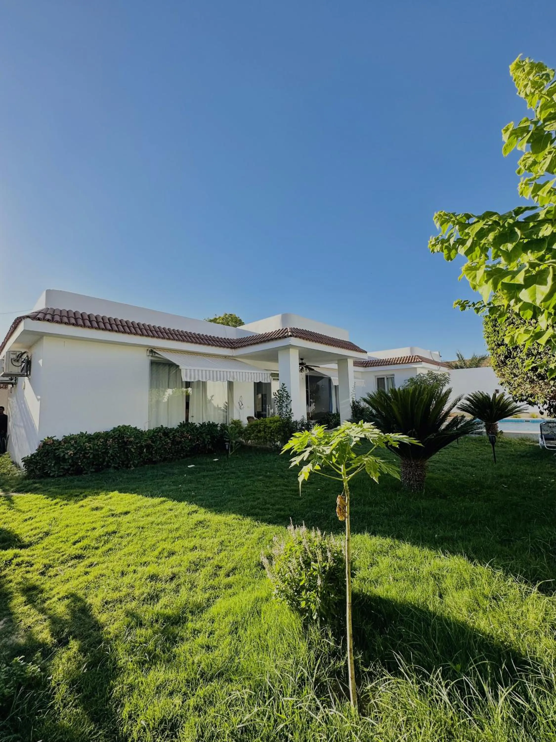 Luxor Rose Villa
