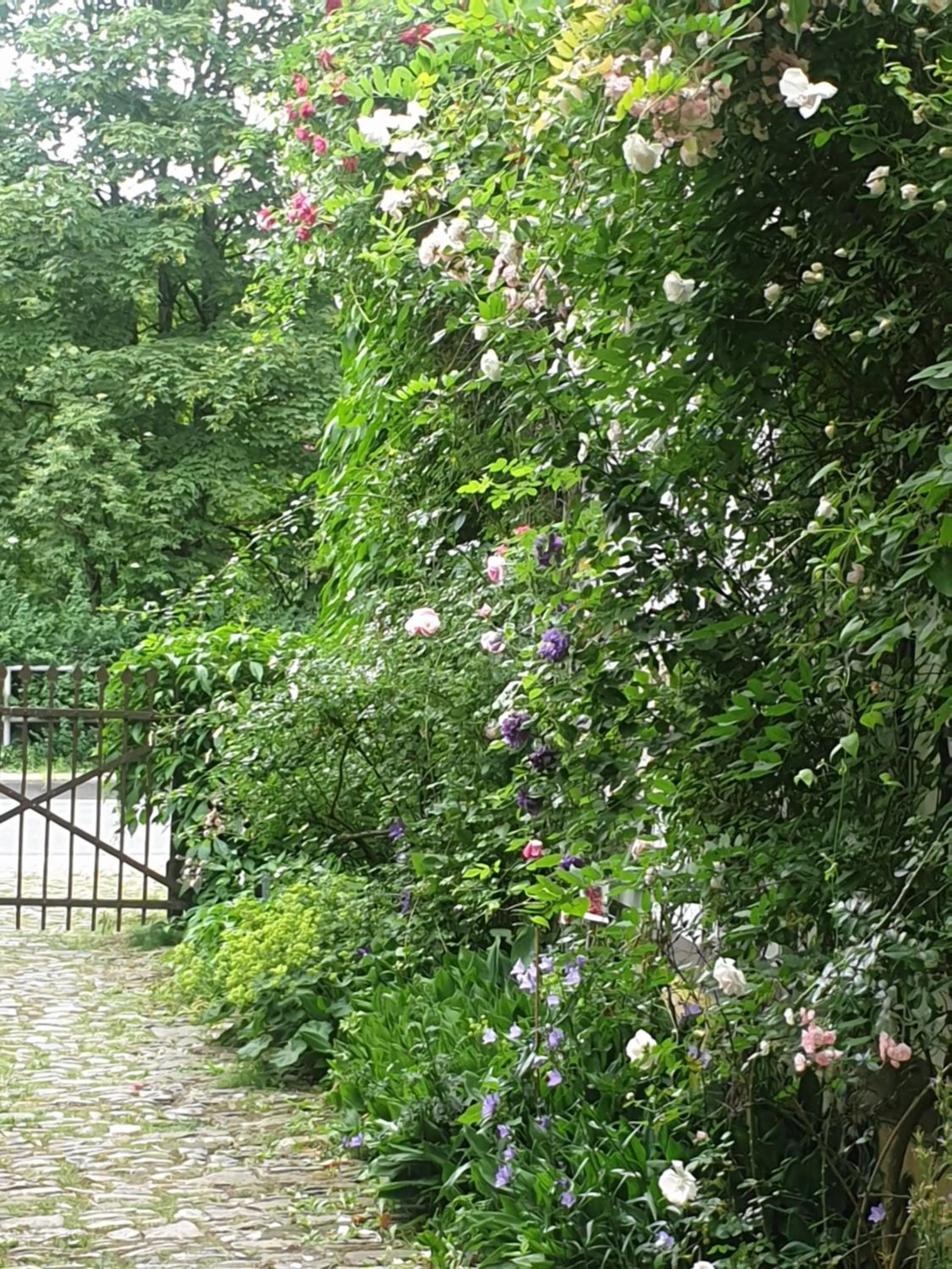 Property building in Rosindell cottage