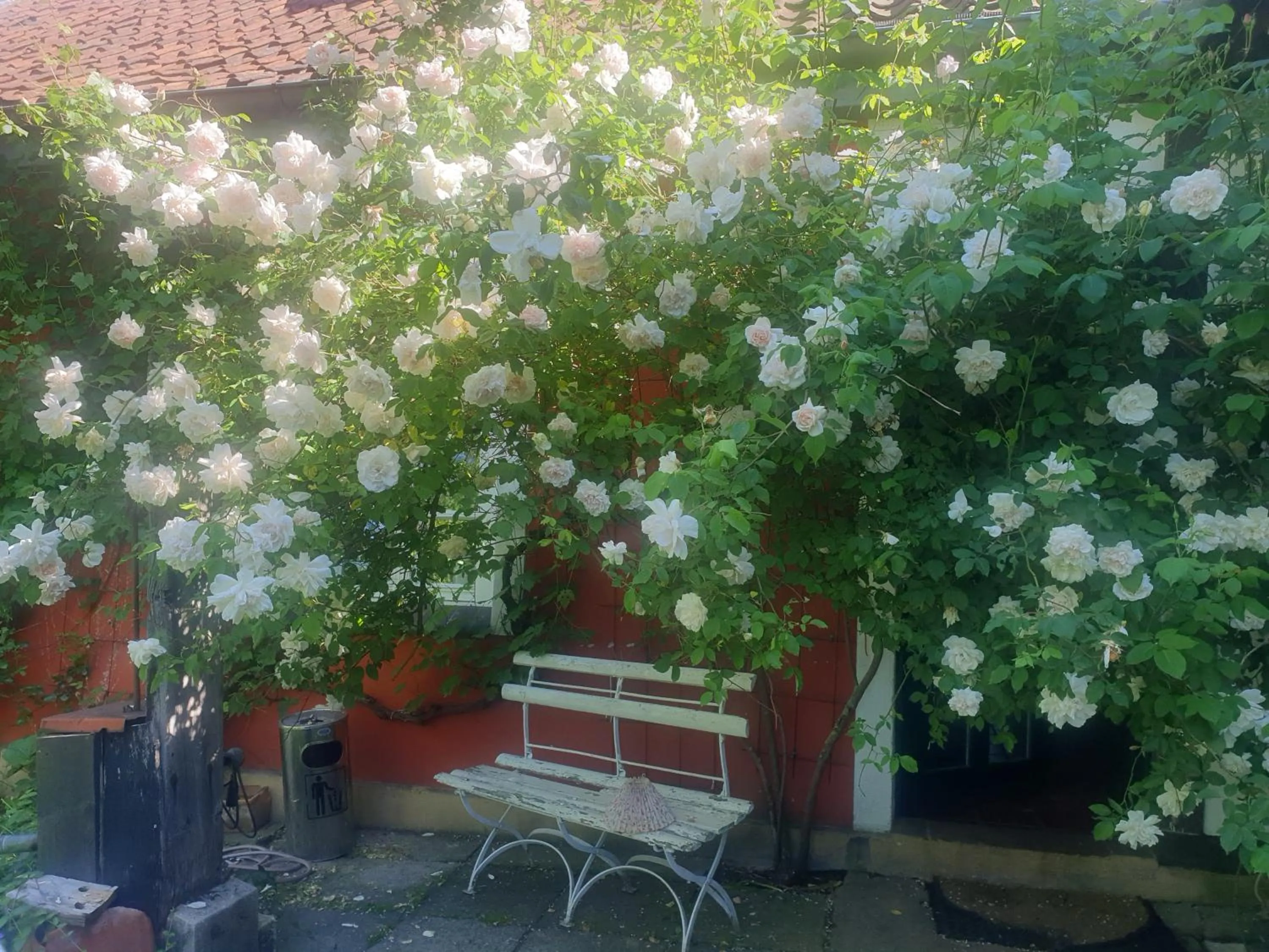 Property building in Rosindell cottage