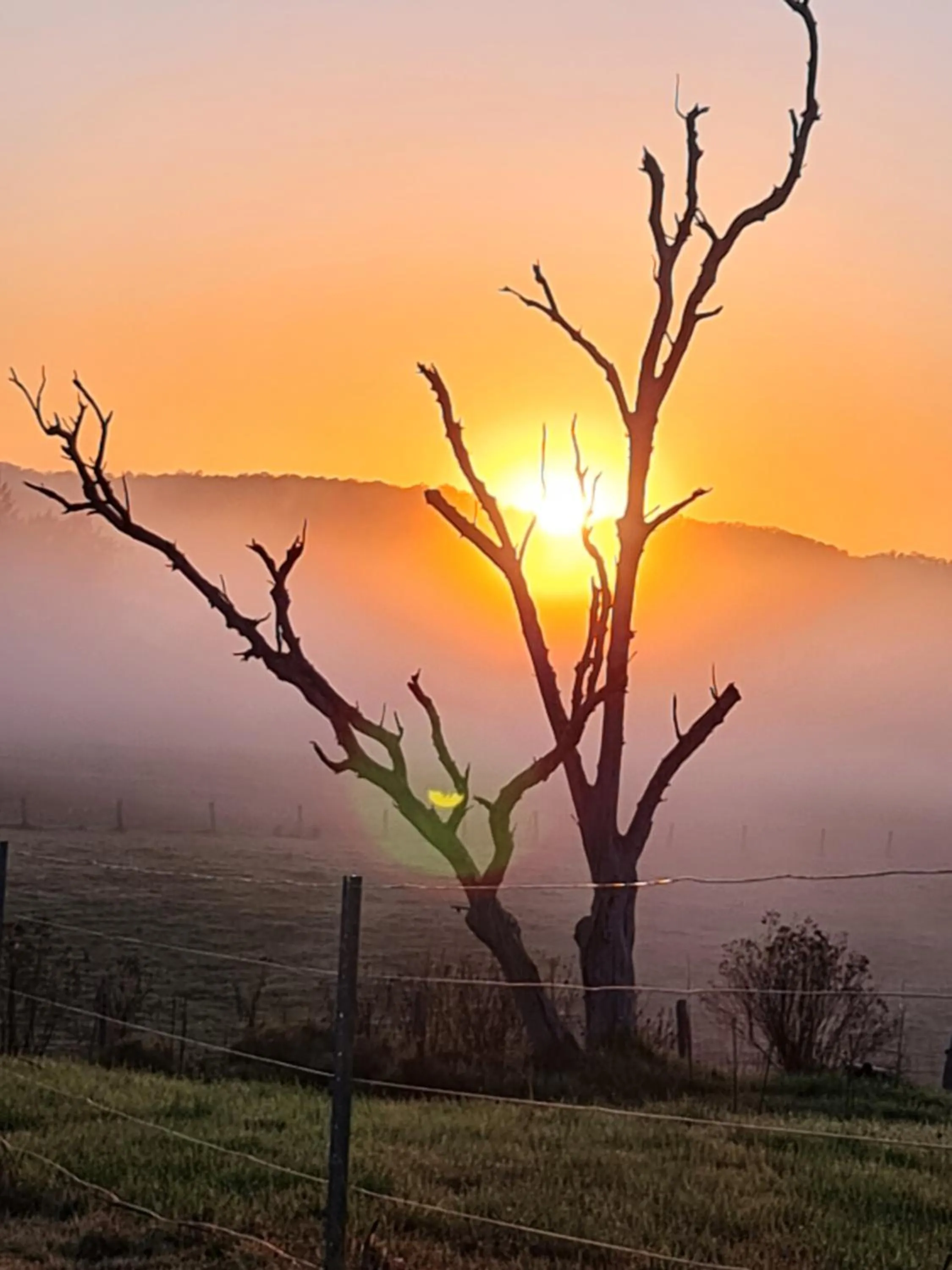 Garden view in Vacy Hunter Valley Lodge