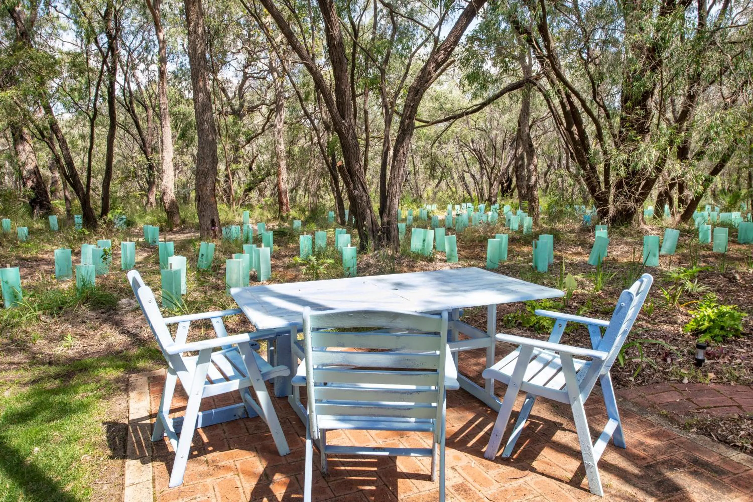 Garden in Berties Beach House
