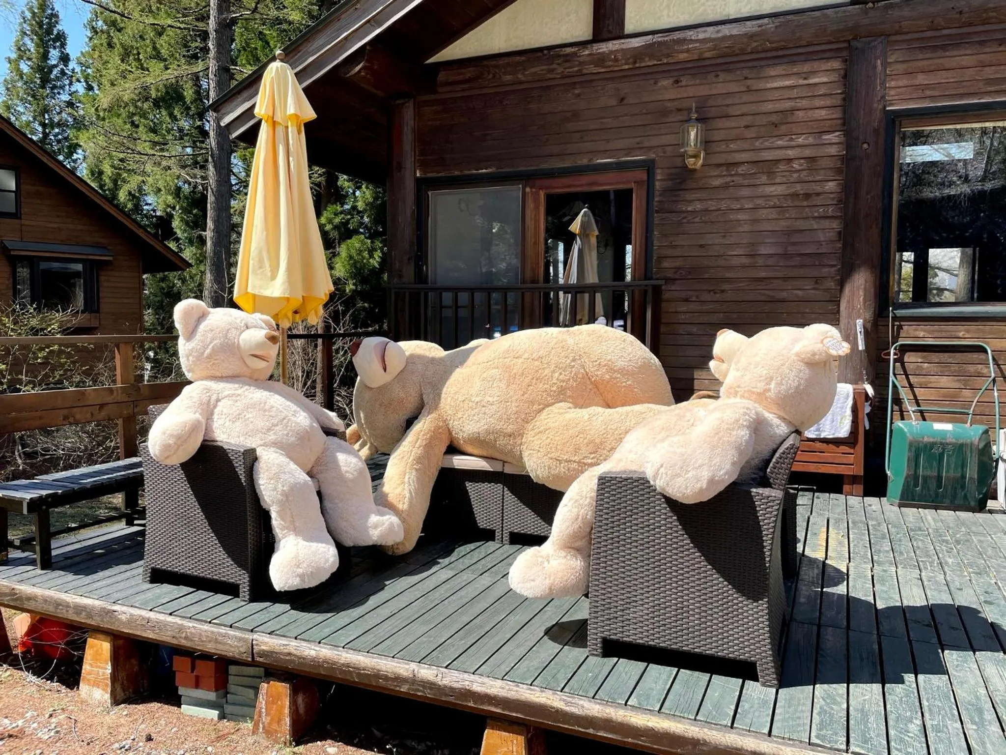 Balcony/Terrace in Petit Hotel Kazekozou