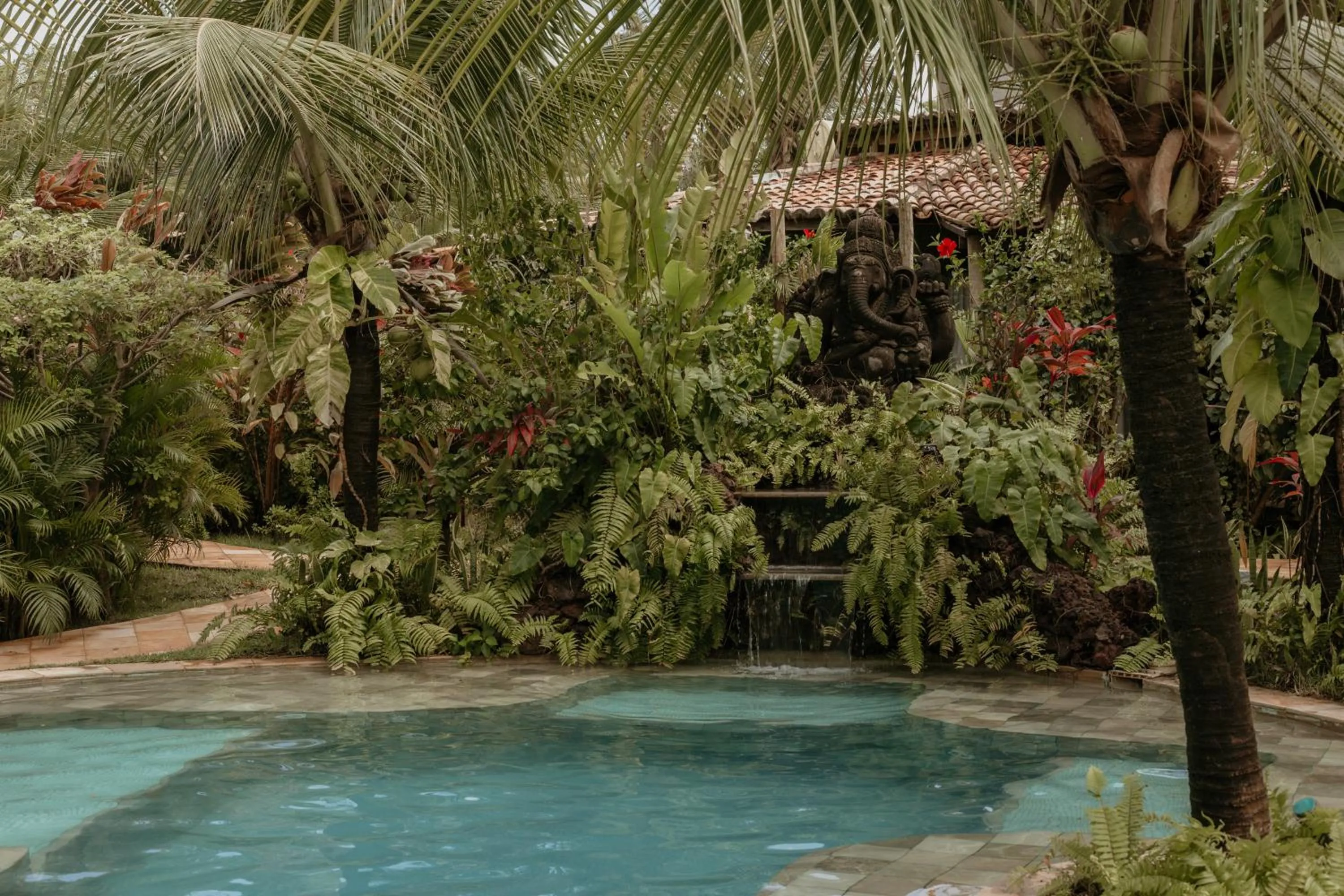 Garden view in Paua Hotel Boutique