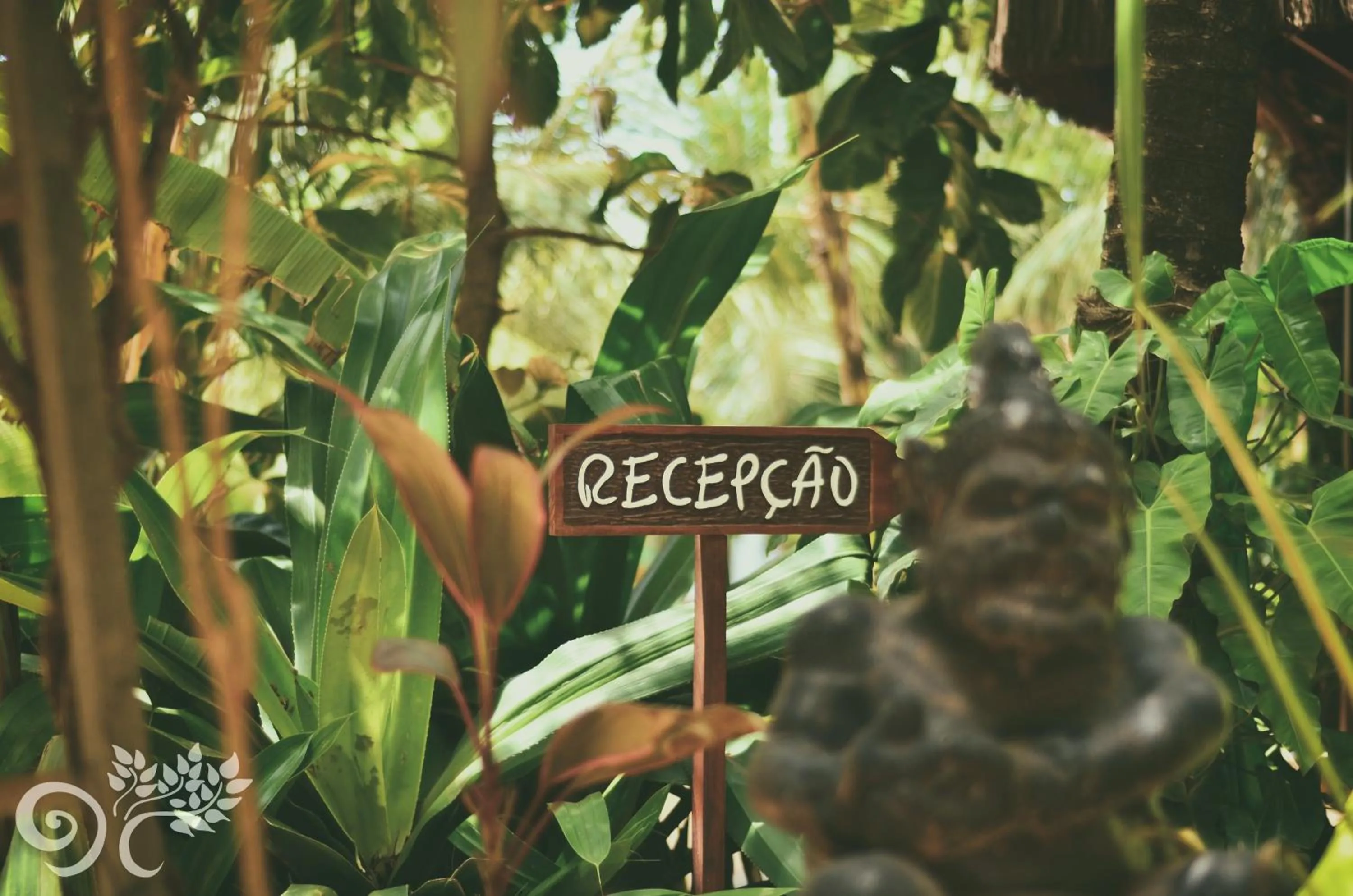 Garden in Paua Hotel Boutique