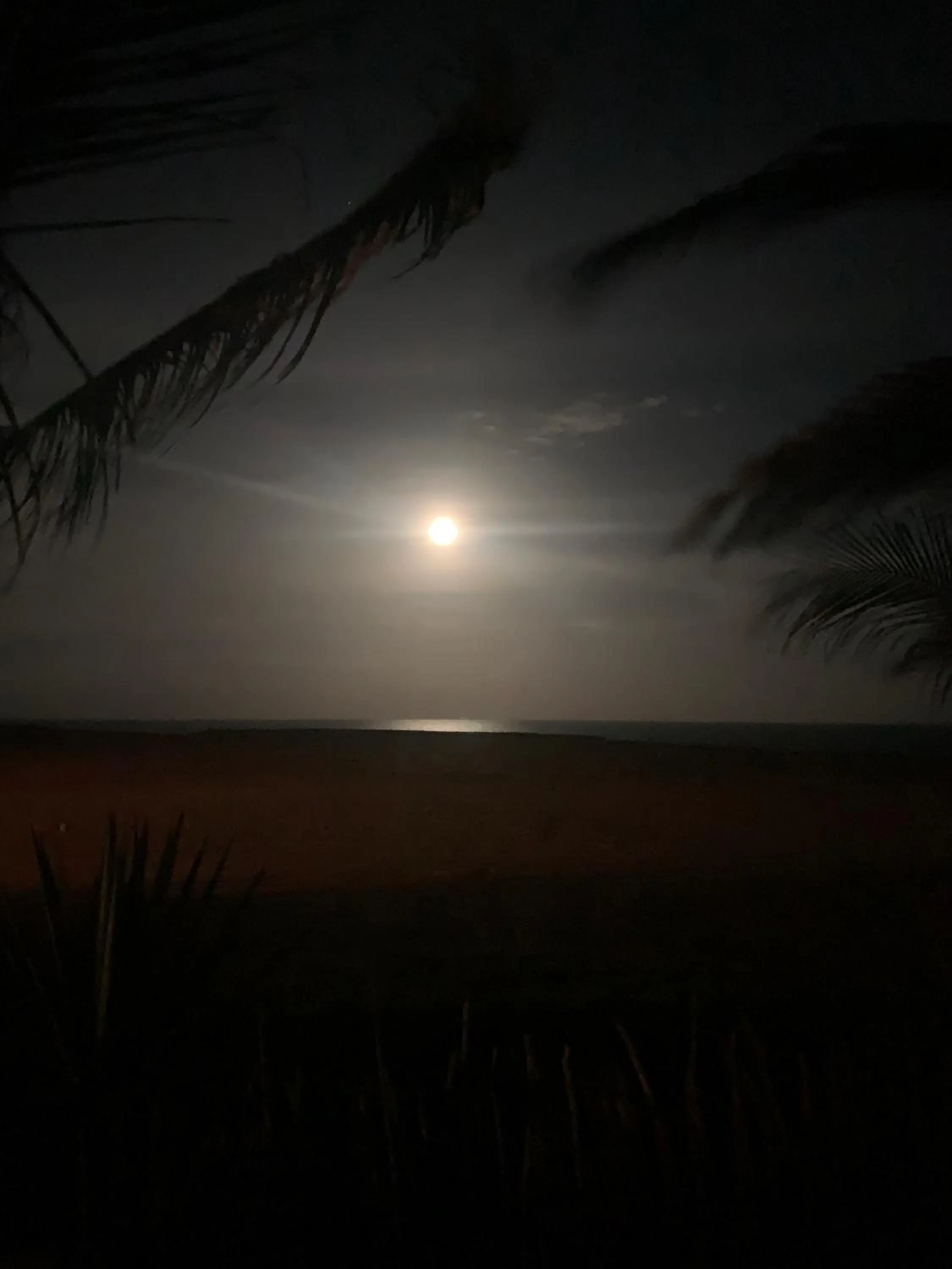 Night in Paua Hotel Boutique