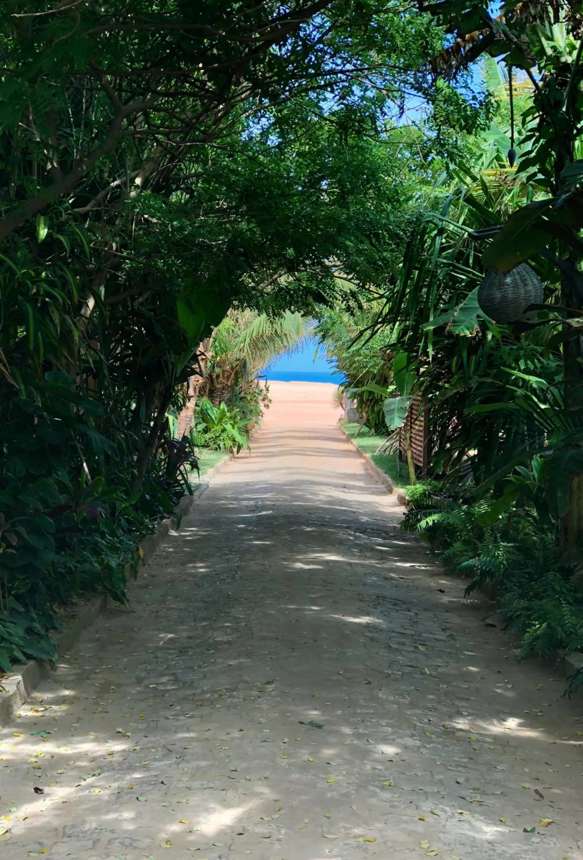 Facade/entrance in Paua Hotel Boutique