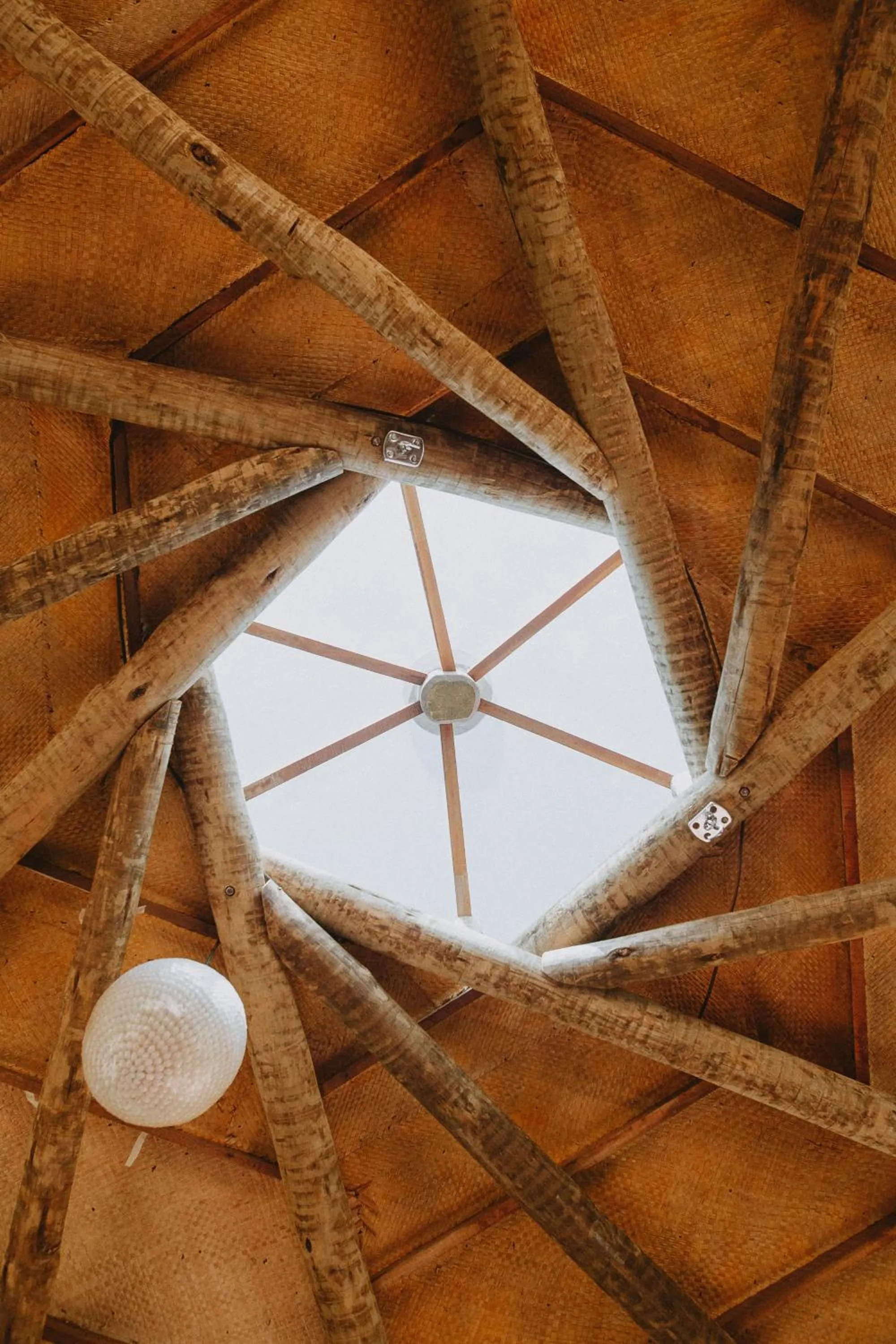 Communal lounge/ TV room in Paua Hotel Boutique