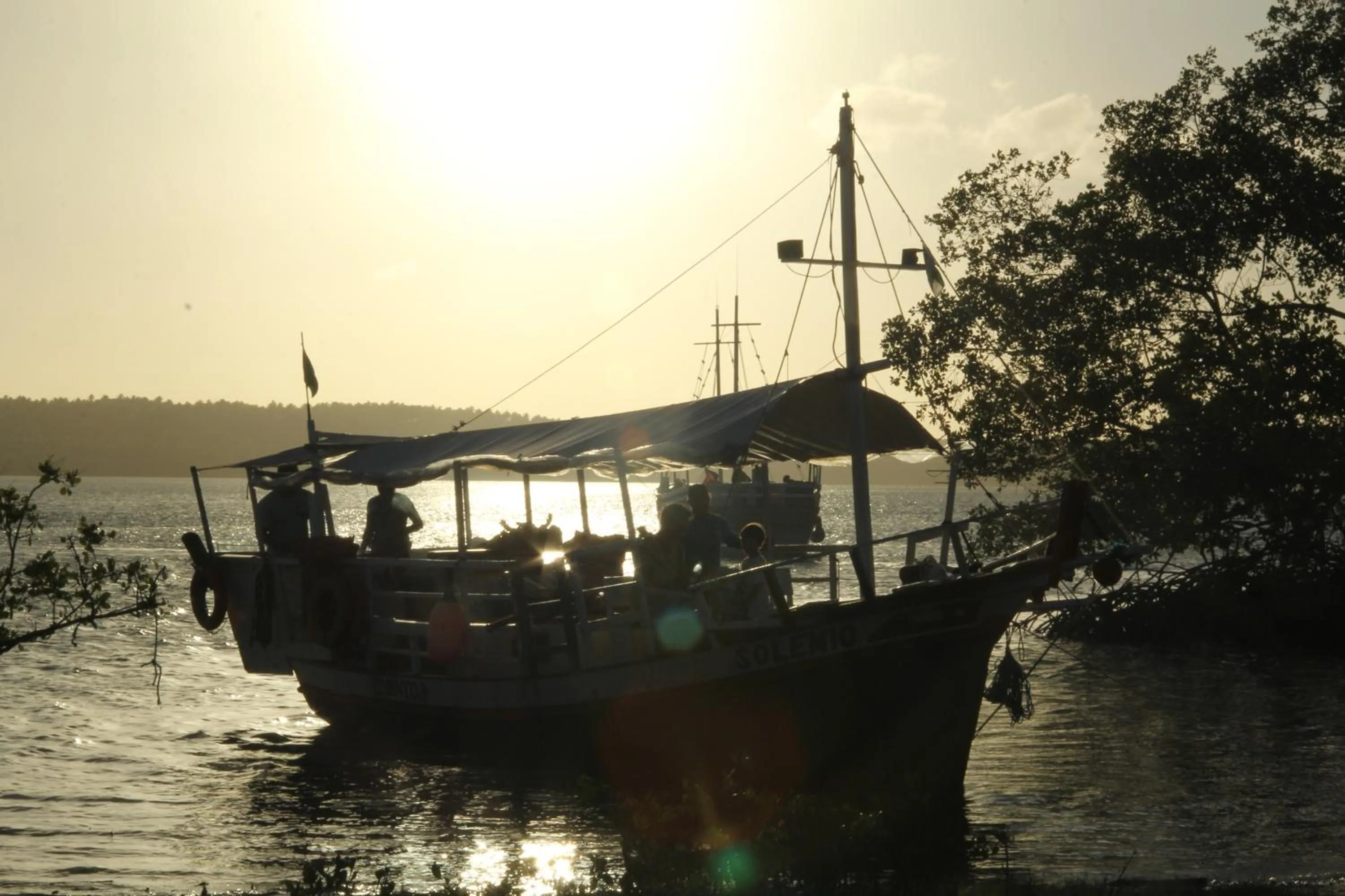 Day in Paua Hotel Boutique