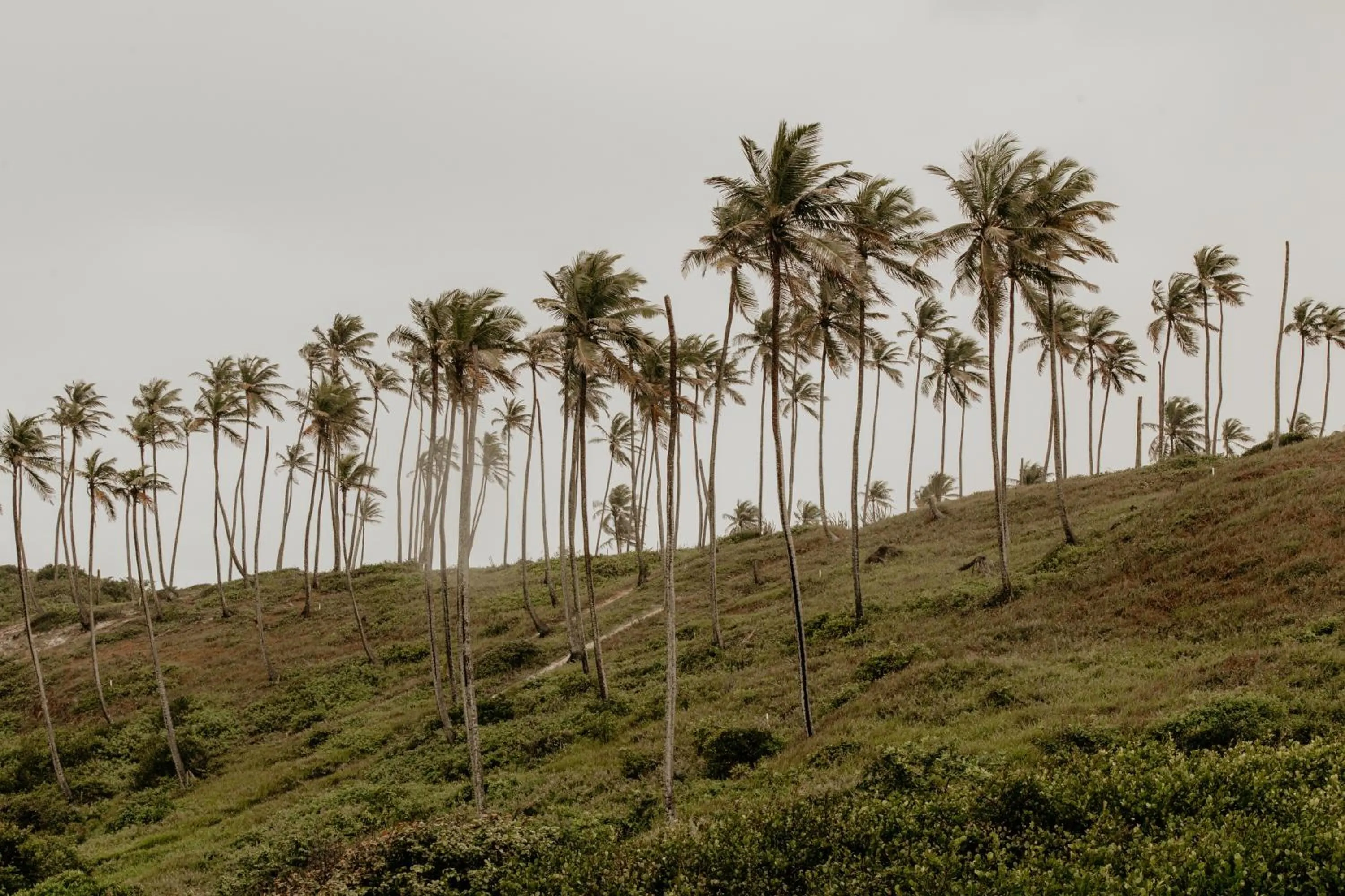 Natural landscape in Paua Hotel Boutique
