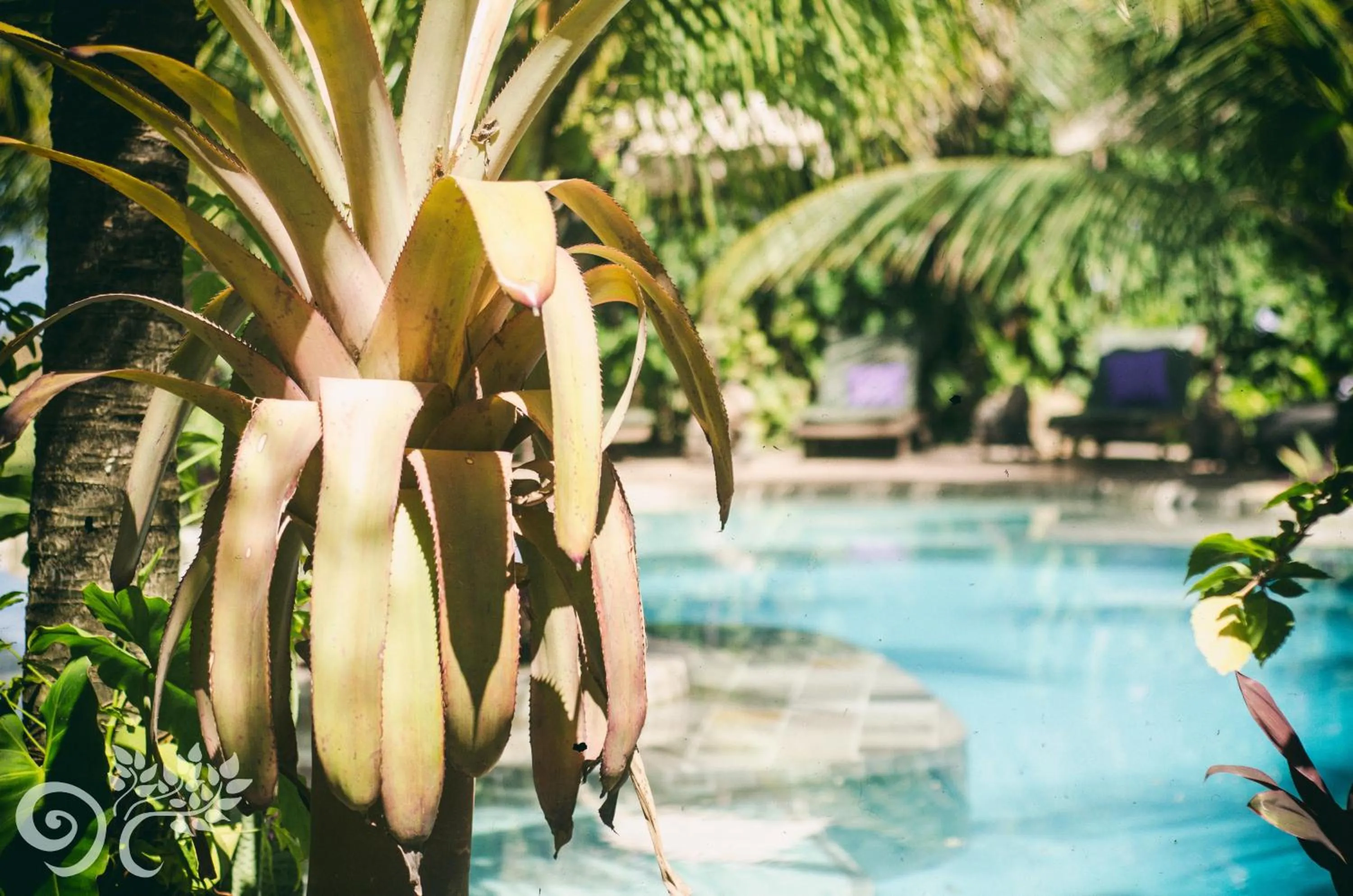 Swimming pool in Paua Hotel Boutique