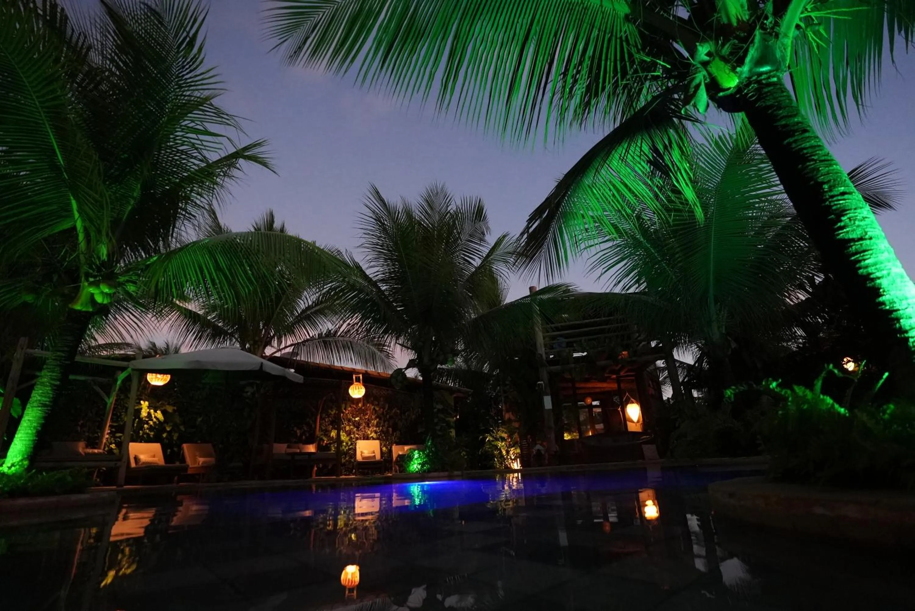 Garden view in Paua Hotel Boutique