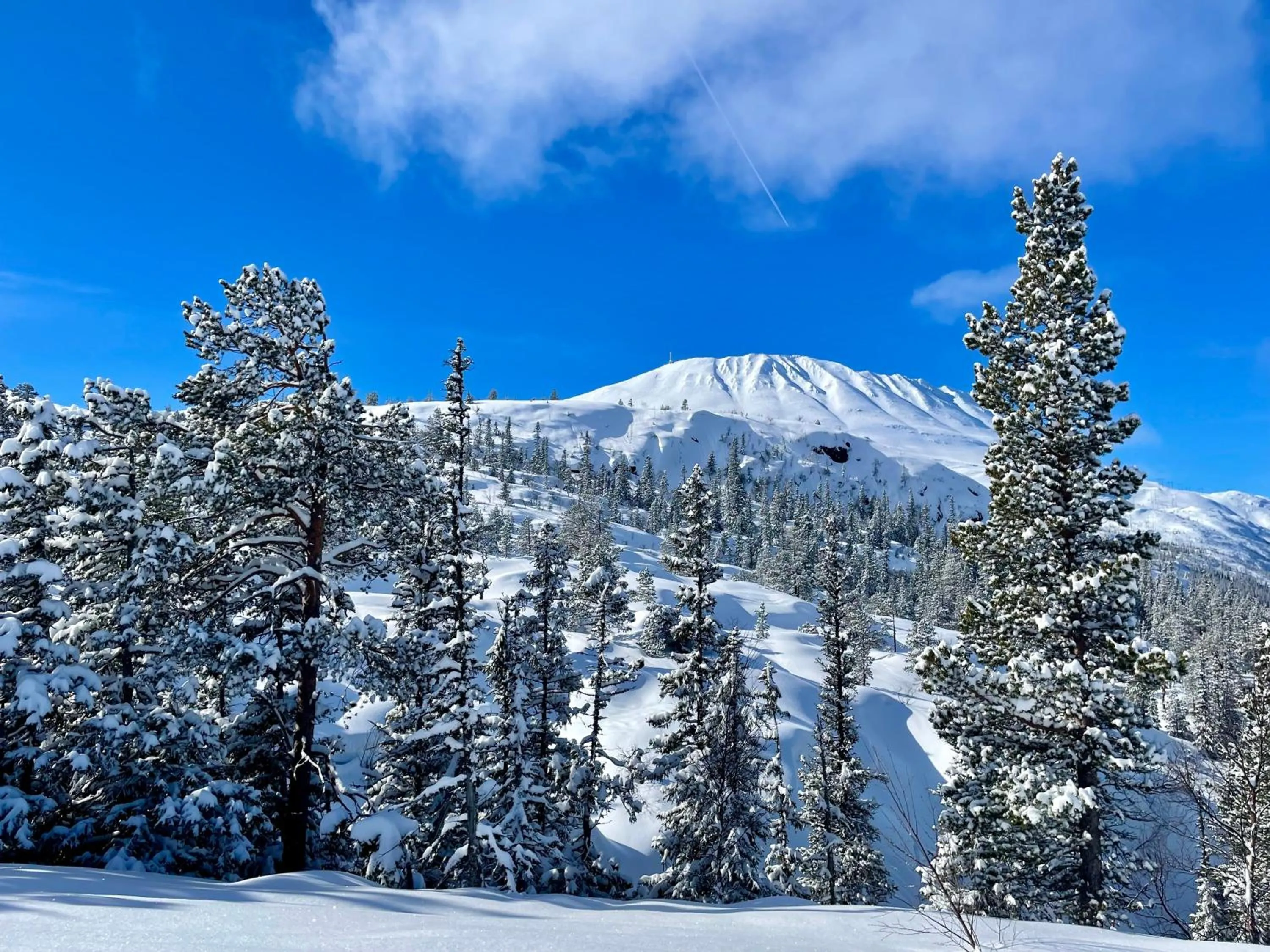 Natural landscape in Gausta View