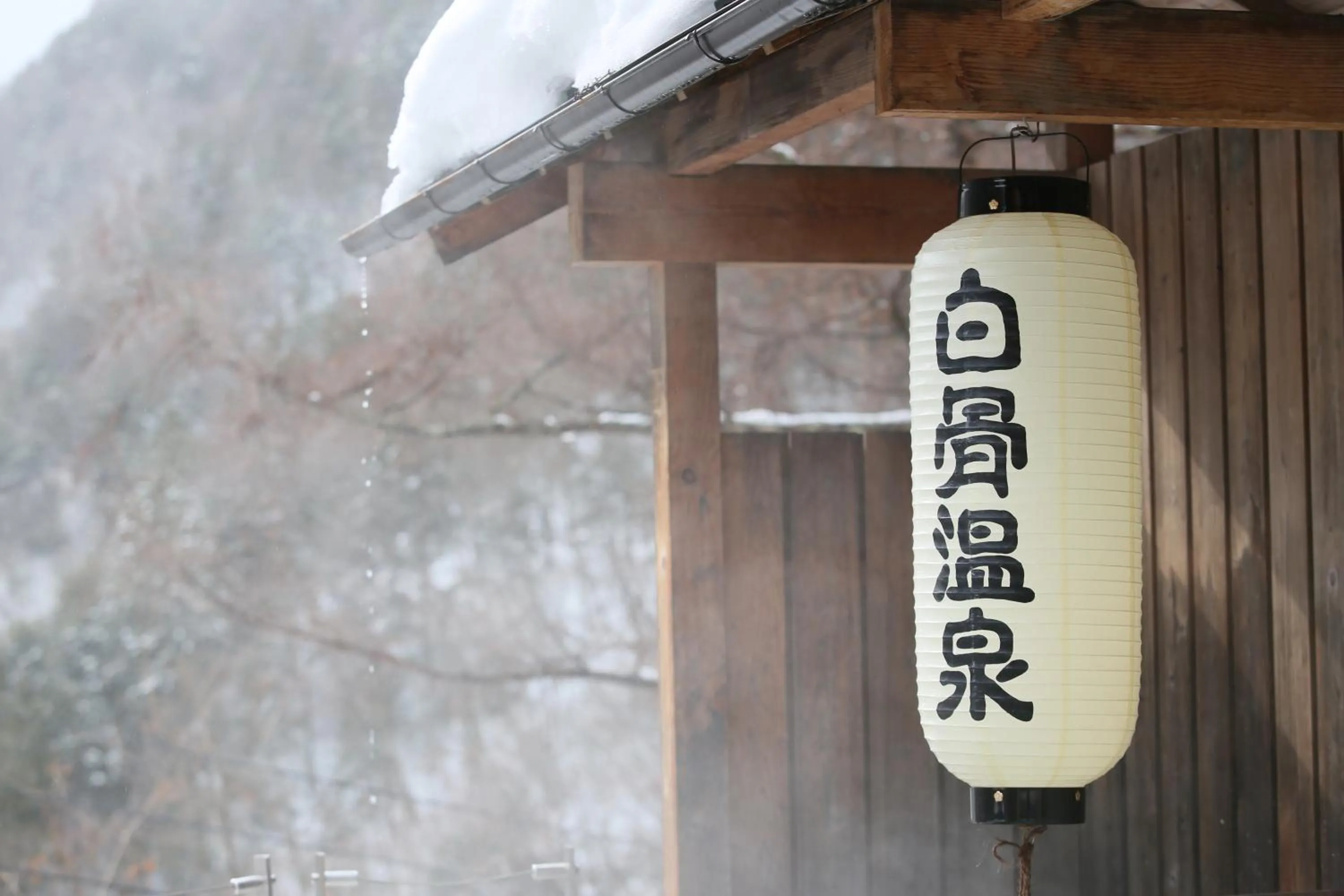 Shirafune Grand Hotel