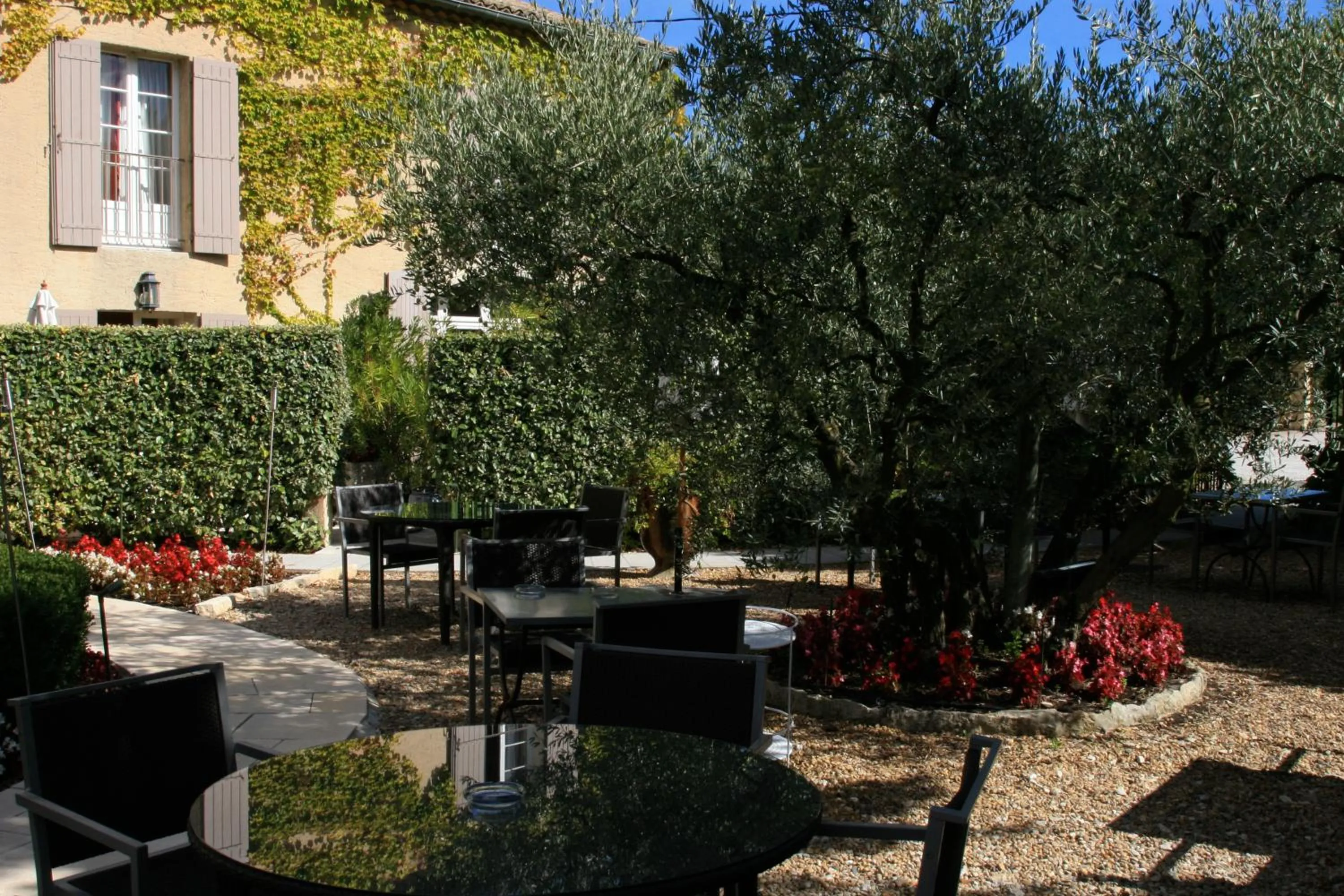 Garden in Mas des Carassins