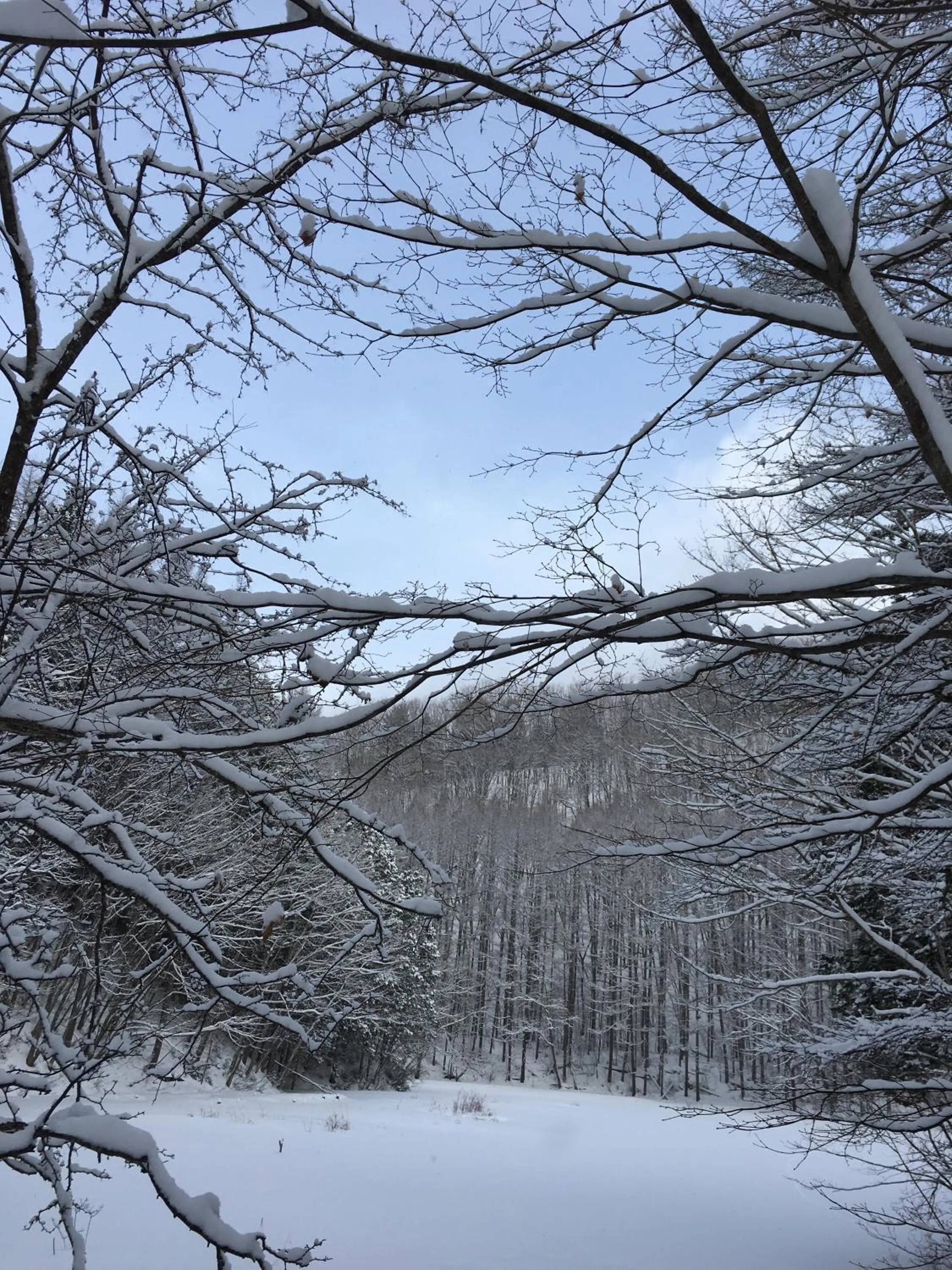 Off site in Keiryuso Siorie