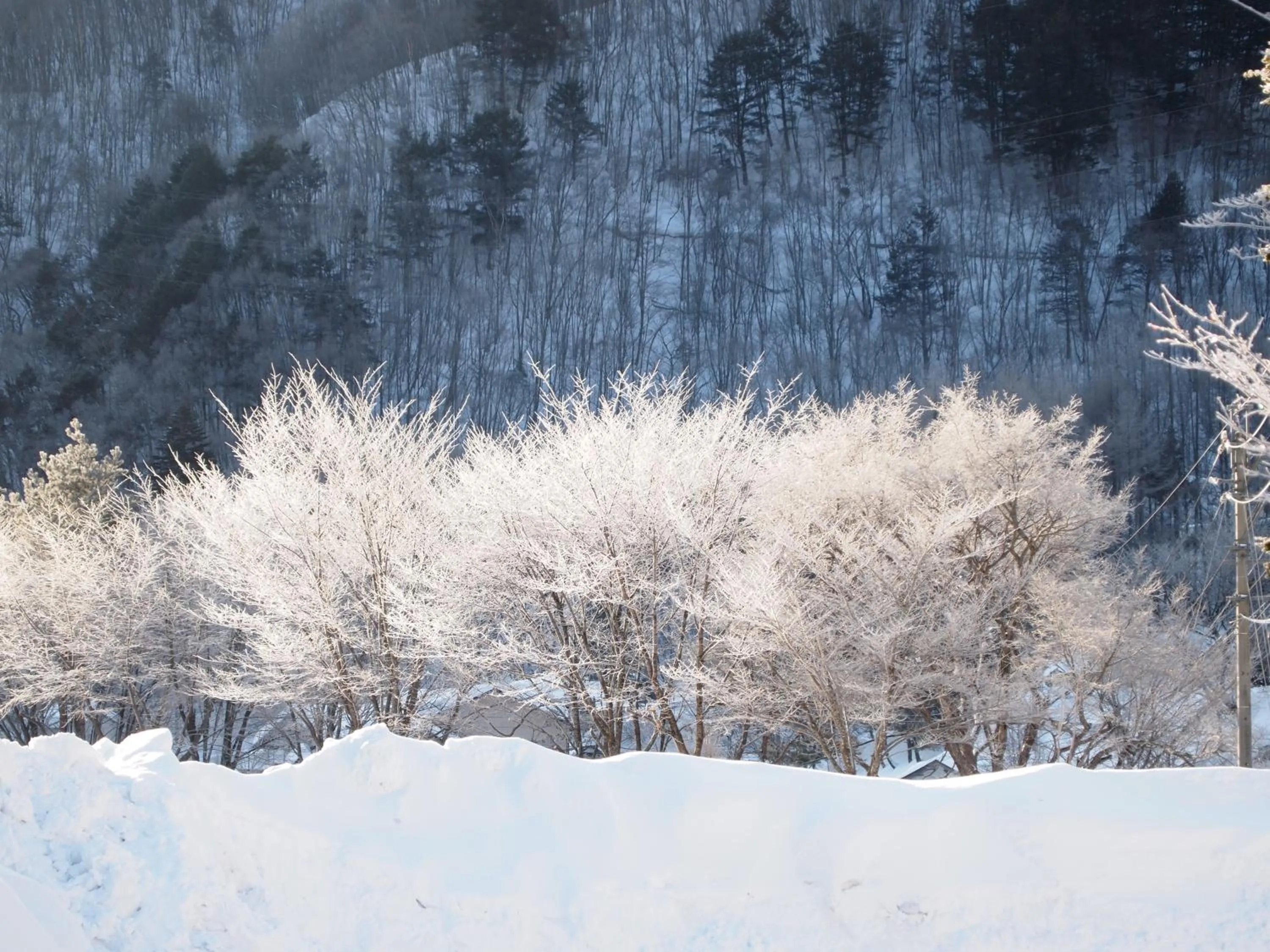 Neighbourhood in Keiryuso Siorie