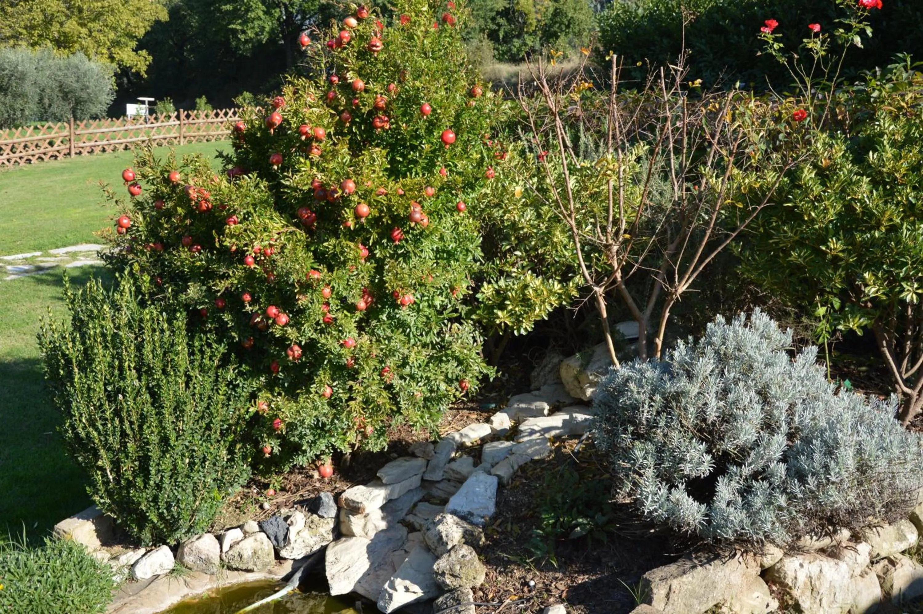 La Sorgente Del Subasio ASSISI