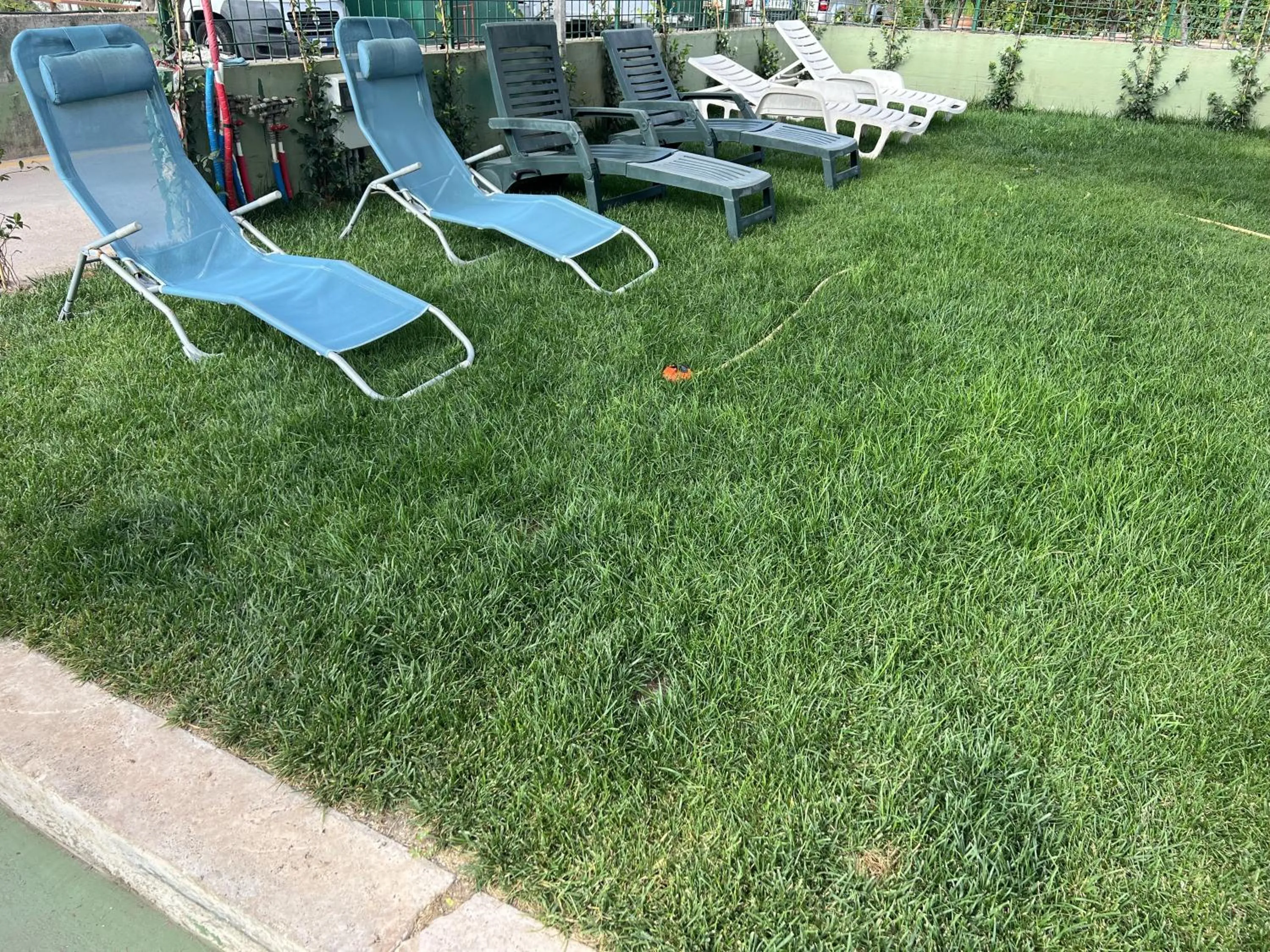 Garden in Villa Patrizia