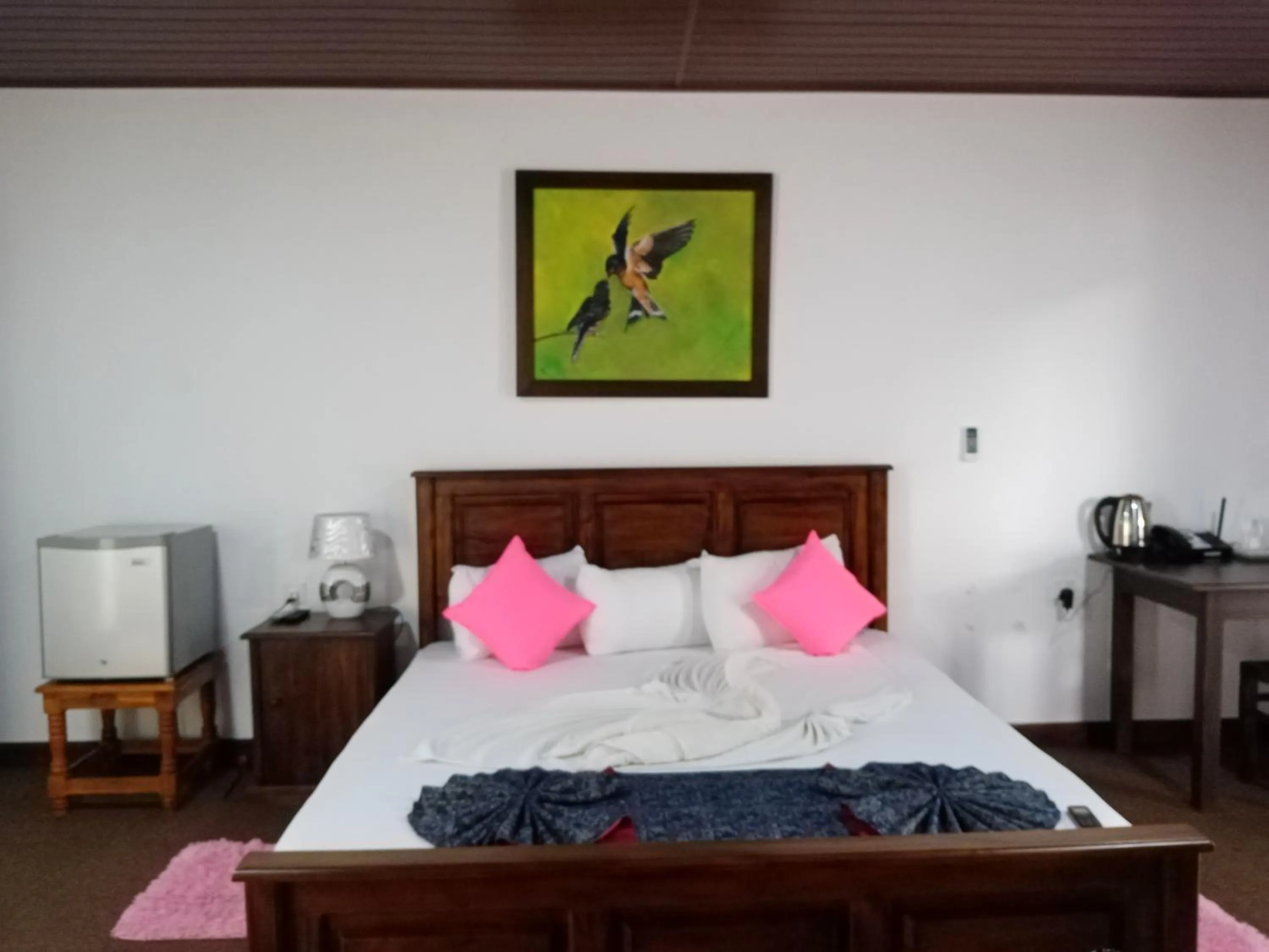 Hotel Green View Buttala