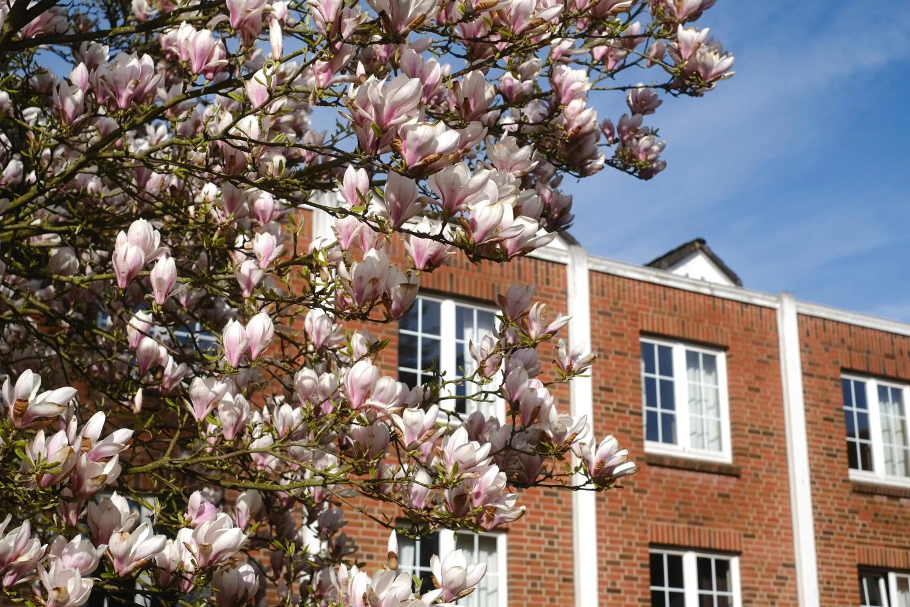 Property building in PARKHOTEL - Rosarium