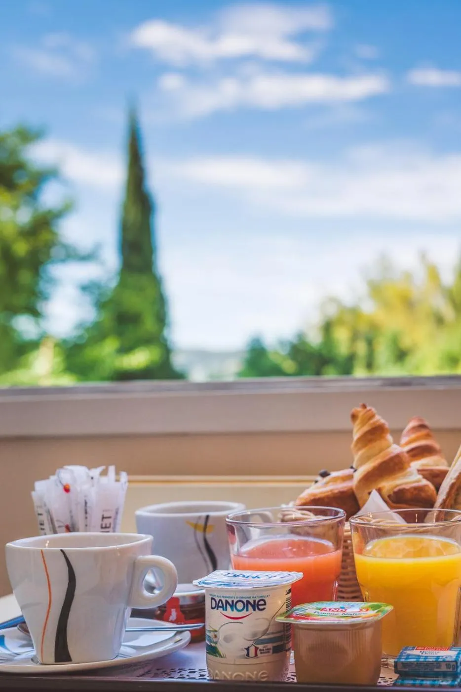 Garden view in Le Mas Du Colombier