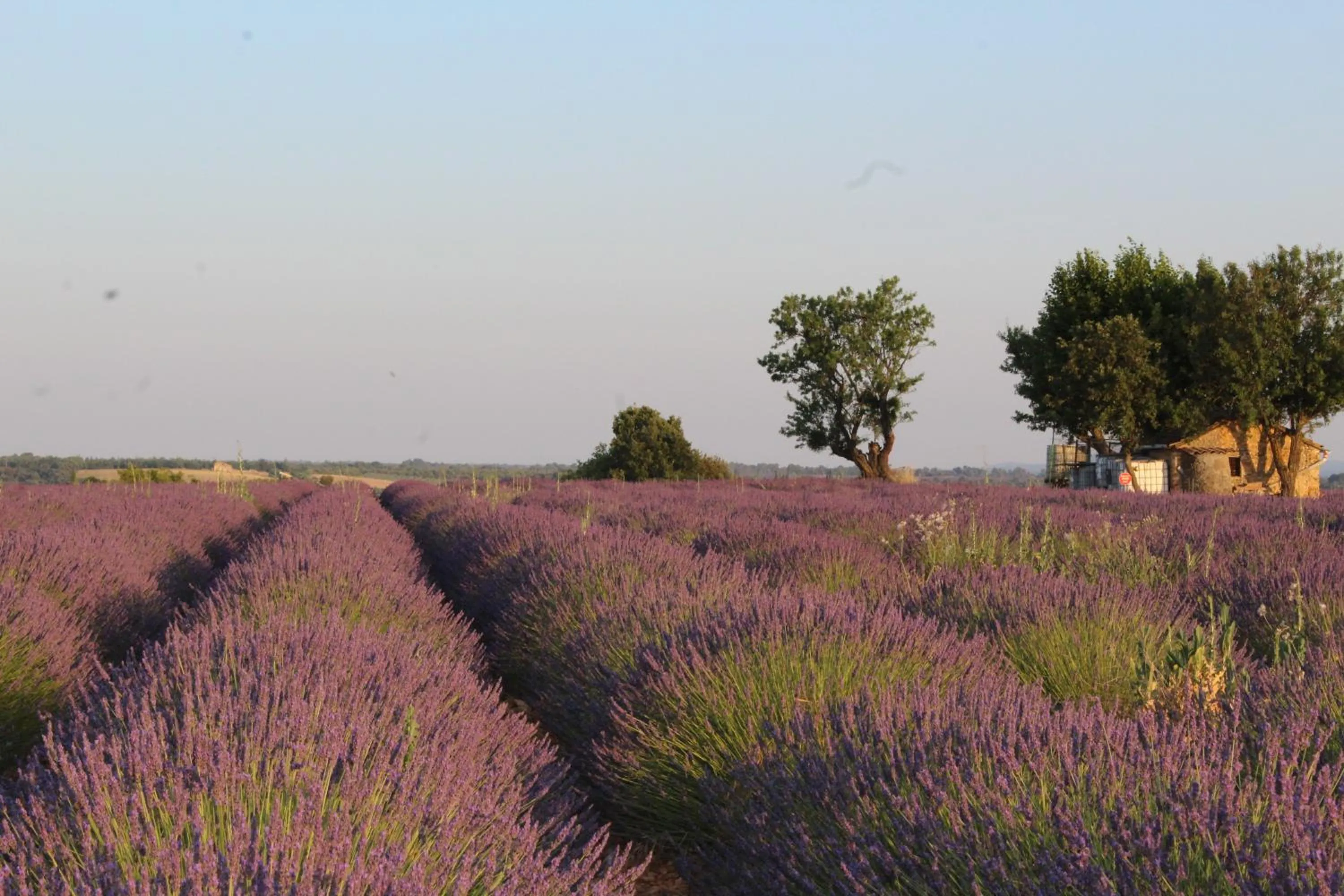 Nearby landmark in Le Mas Du Colombier