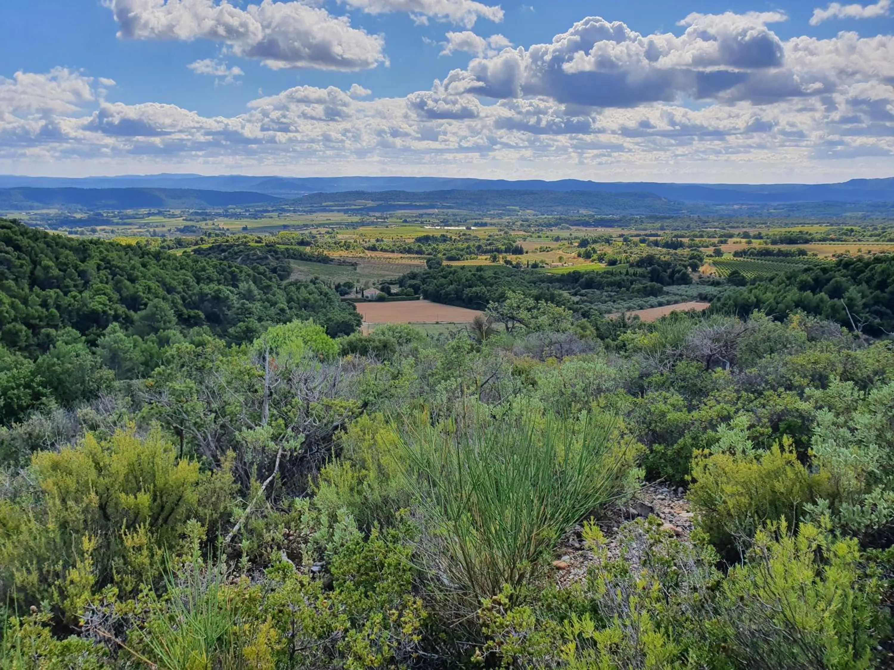 Nearby landmark in Le Mas Du Colombier