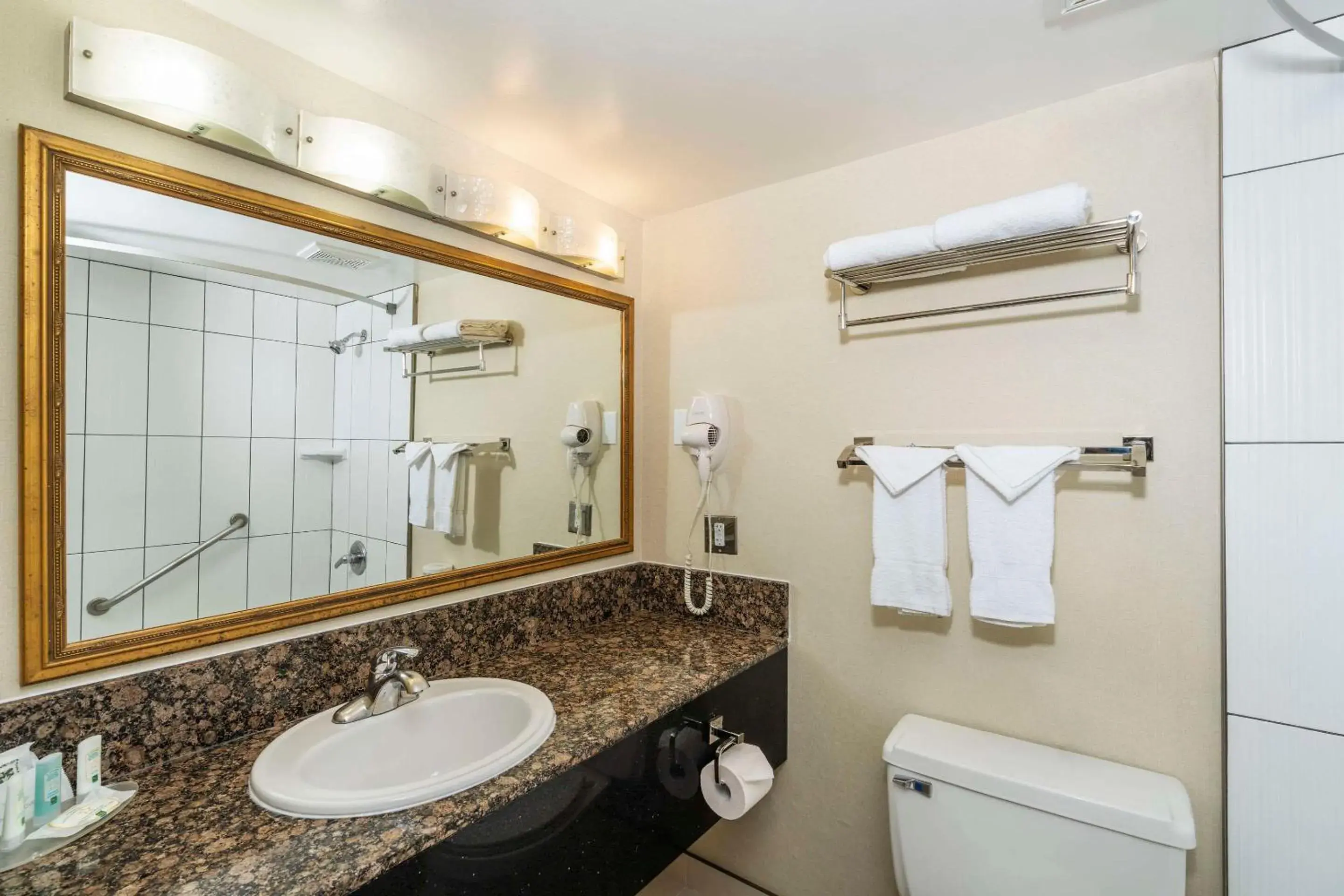 Bedroom in Quality Inn Downtown Inner Harbour Bedroom in Quality Inn Downtown Inner Harbour