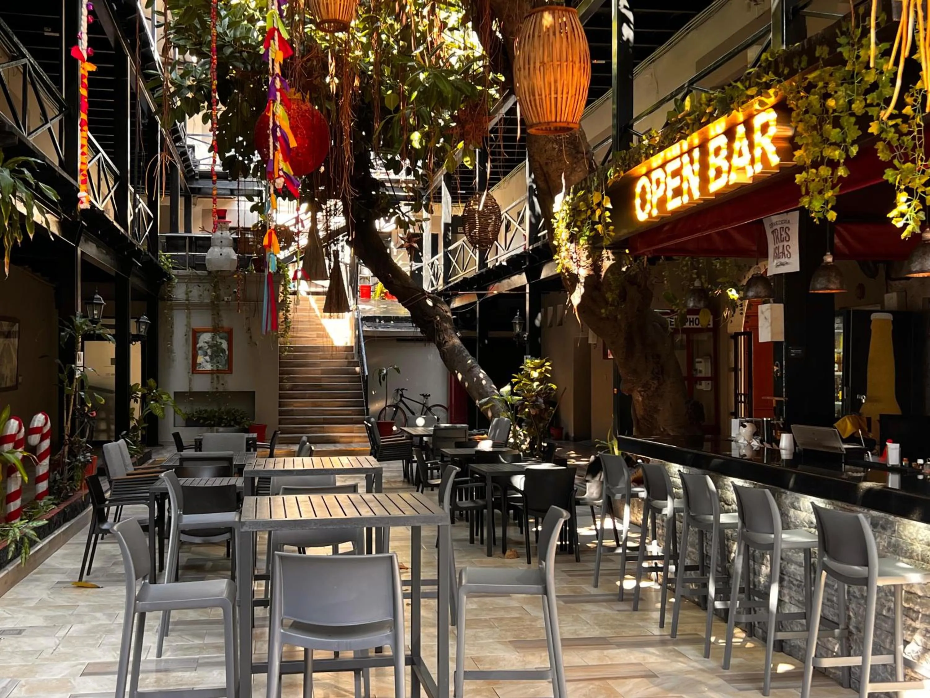 Restaurant/places to eat in Hotel La Siesta Malecón