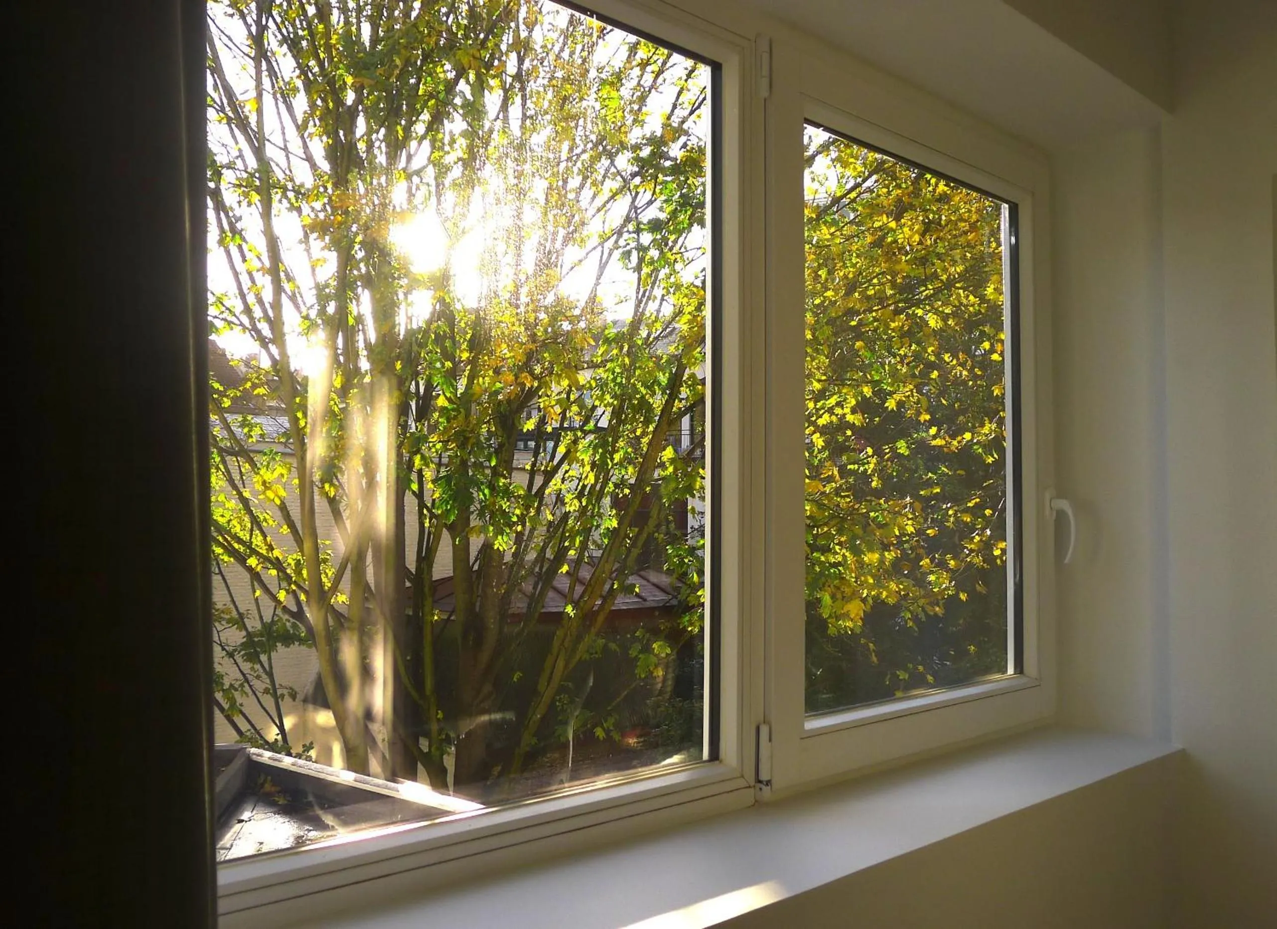 View (from property/room) in B&B Home & the City
