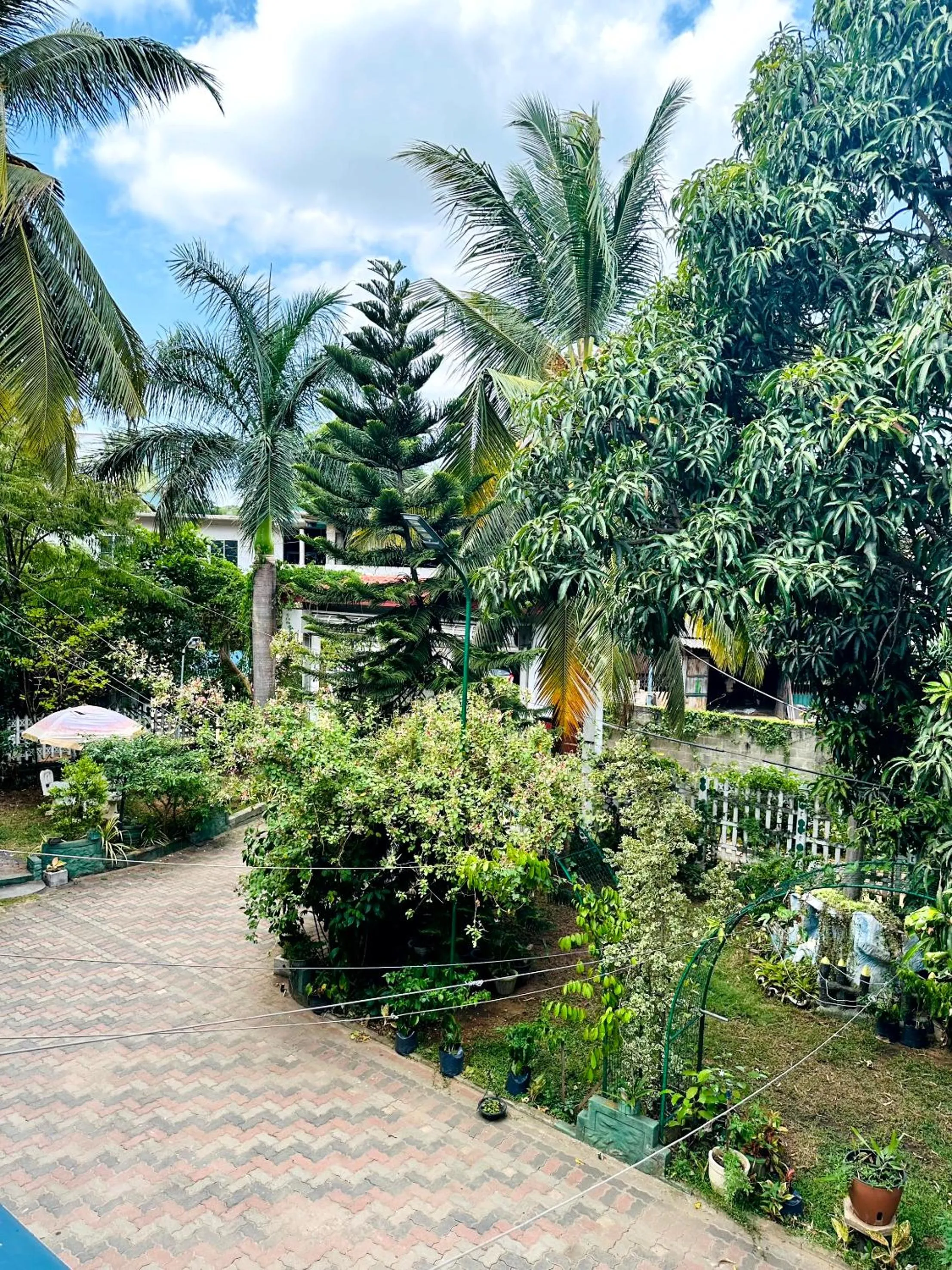 L S Lanka Hotel Dambulla