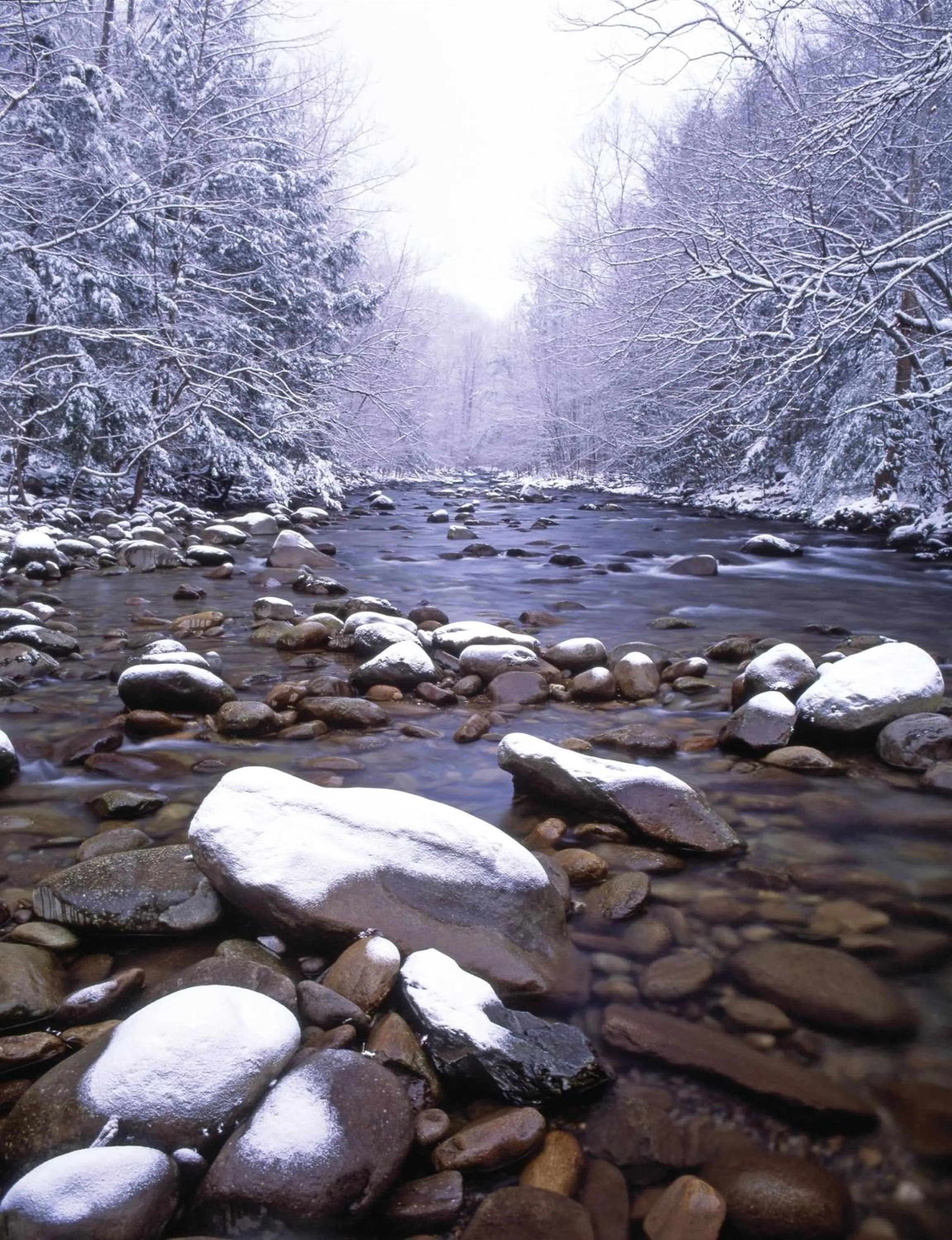 Club Wyndham Smoky Mountains