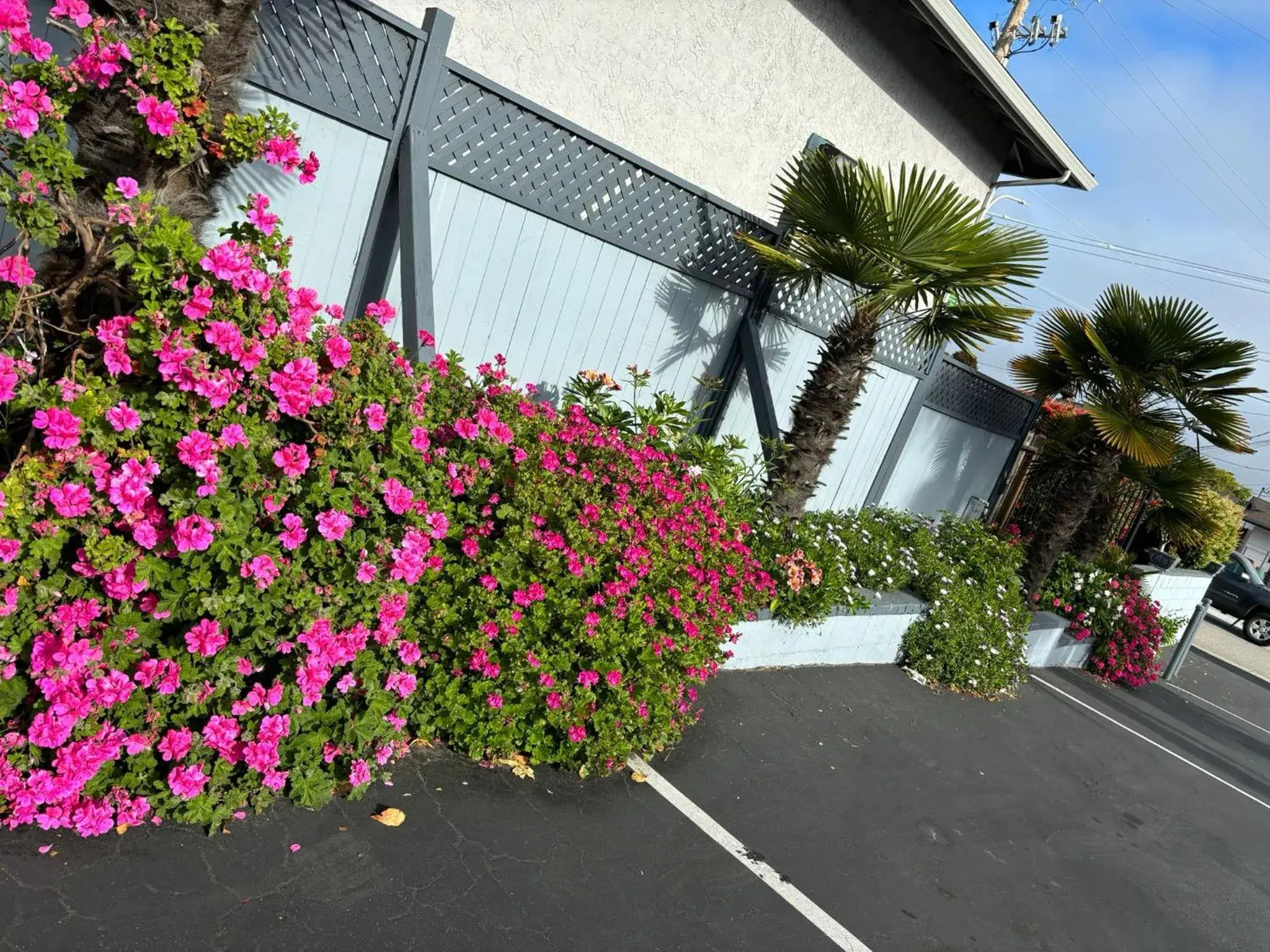 Garden, Property Building in The Monterey Fireplace Inn