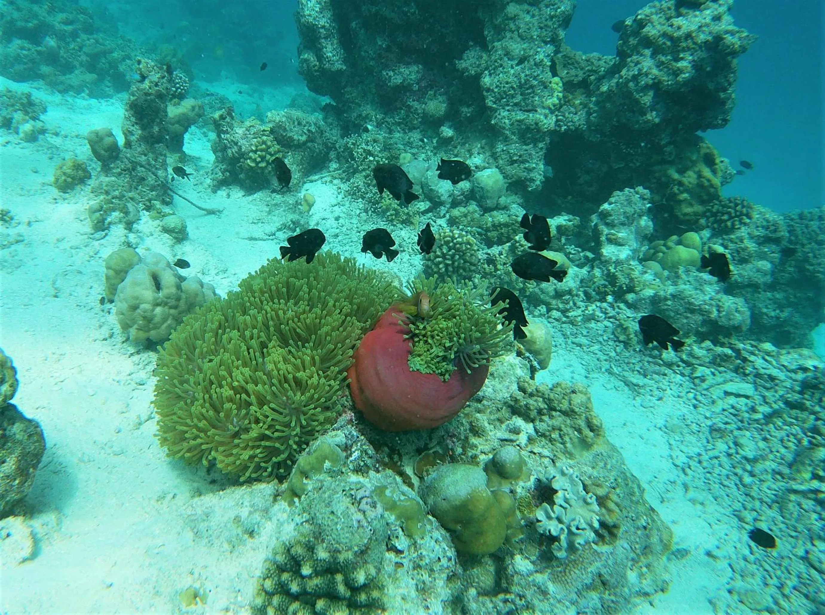 Activities in One The Island