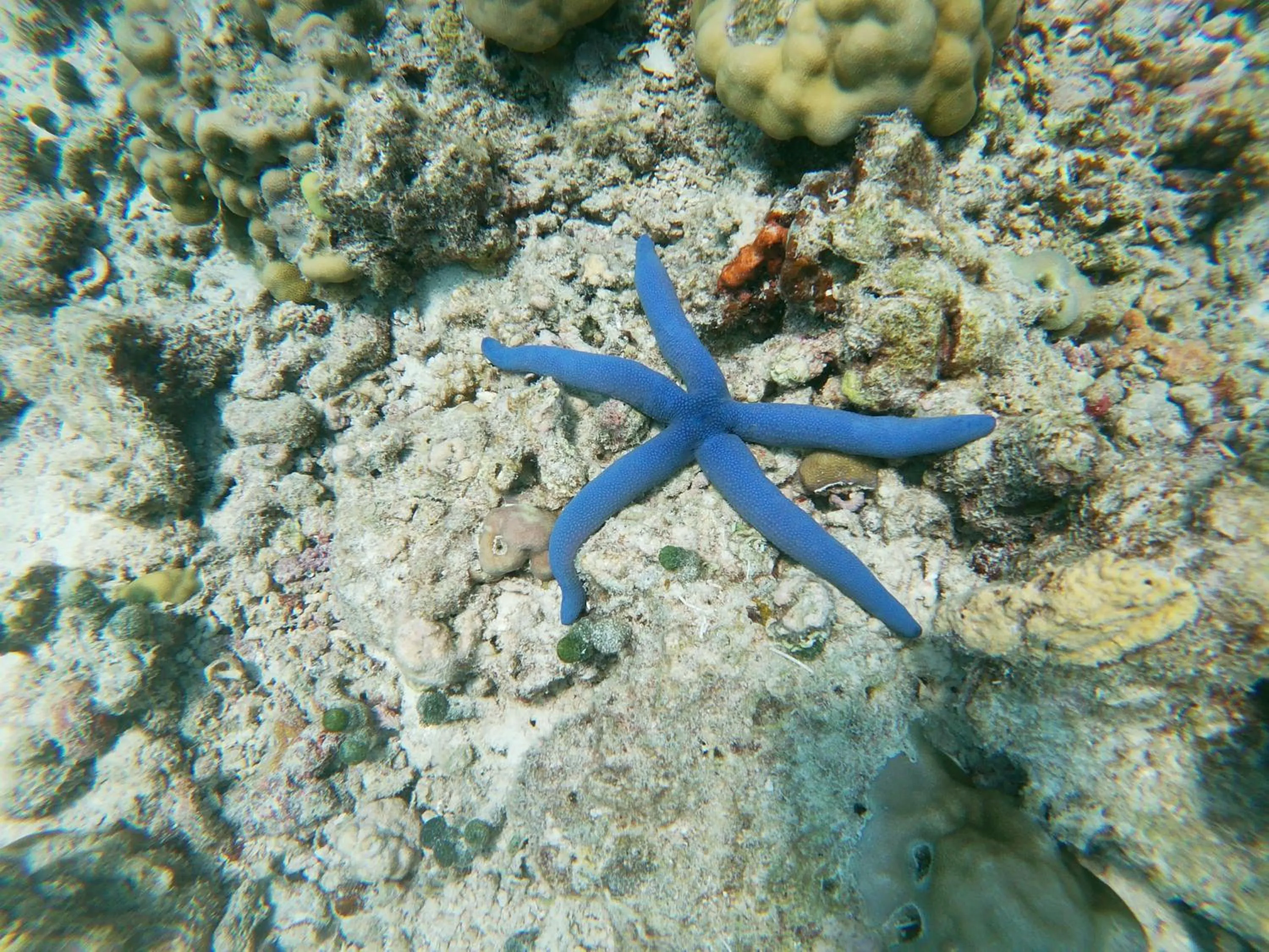 Activities in One The Island