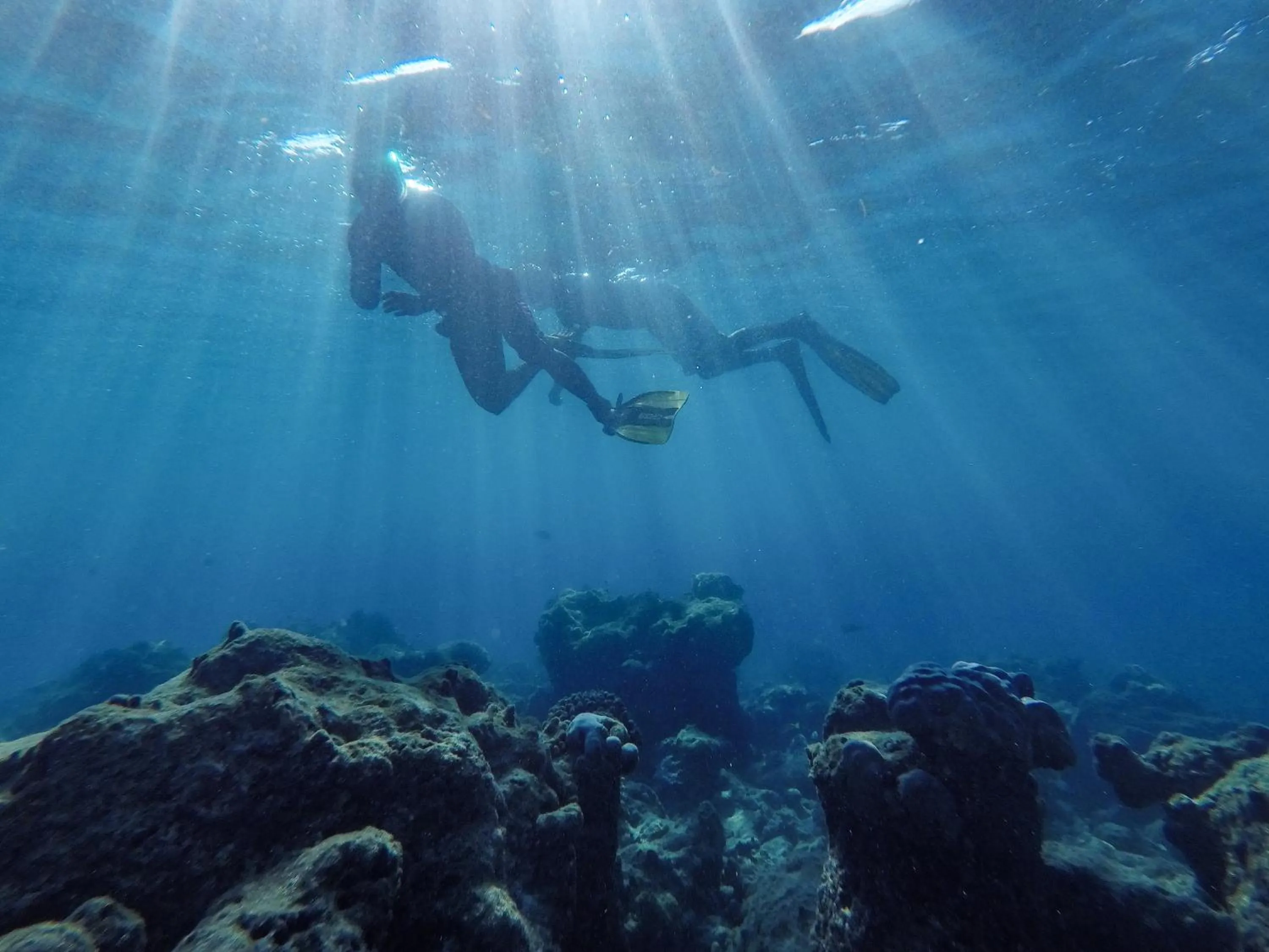 Activities in One The Island