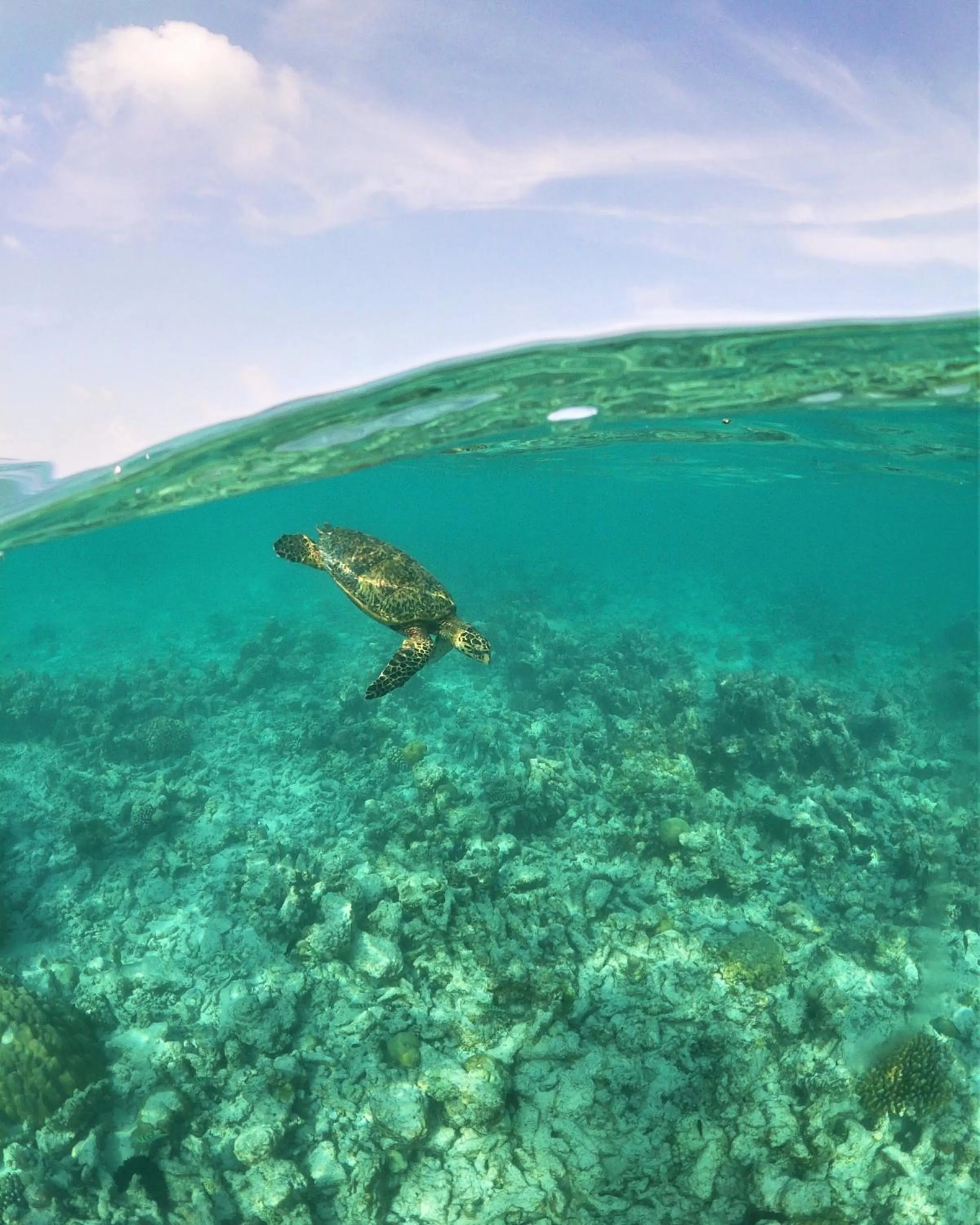 Sea view in One The Island