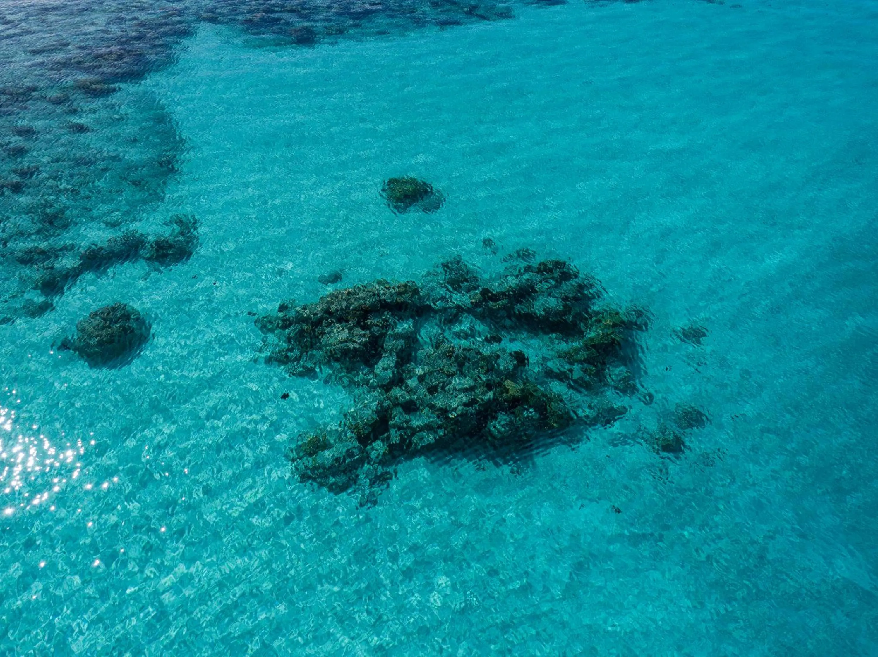 Natural landscape in One The Island