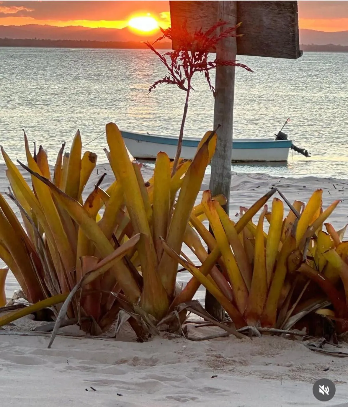 Hotel Villa Balidendê