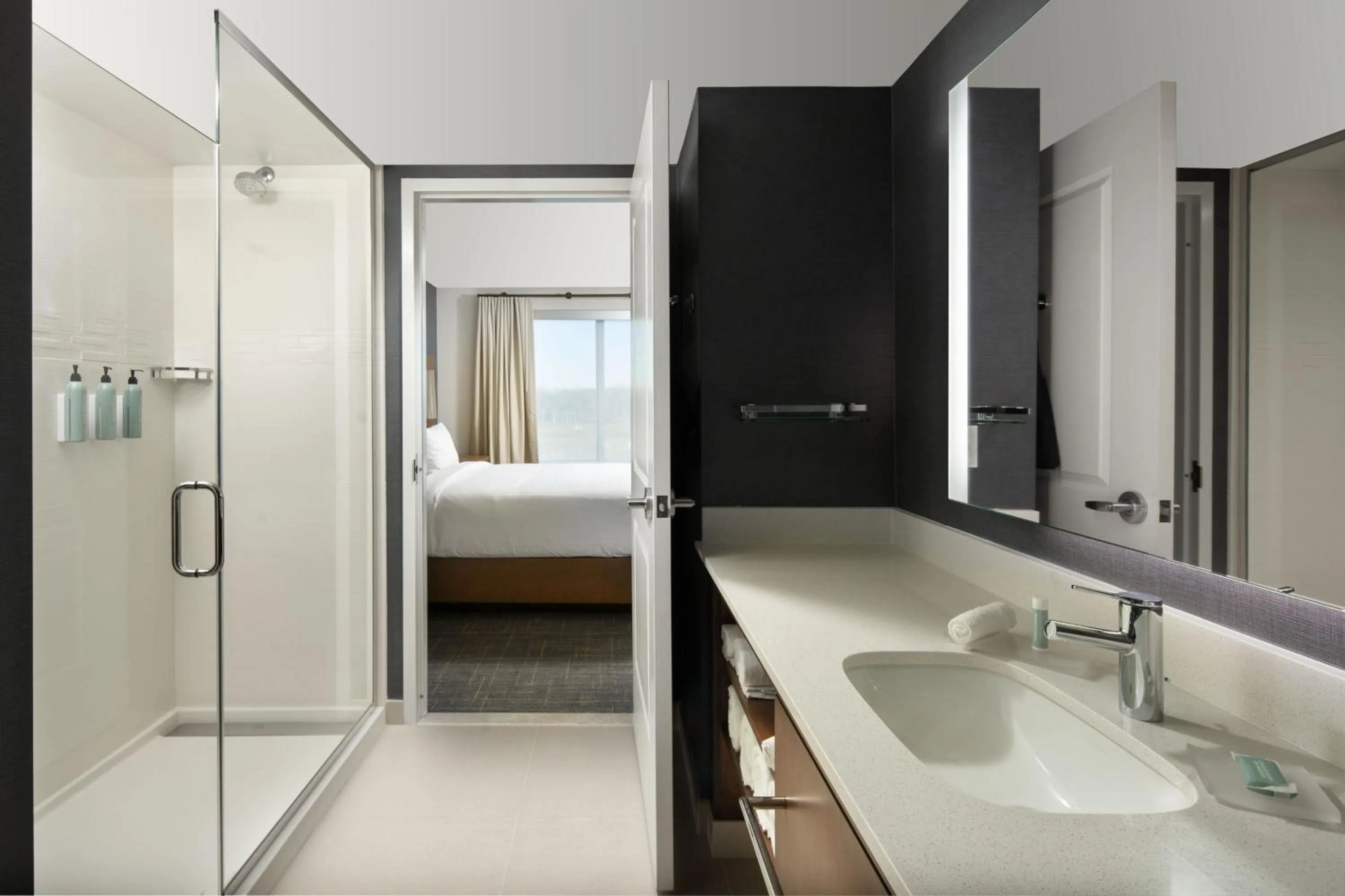 Bathroom, Bed in Residence Inn by Marriott Tampa Wesley Chapel